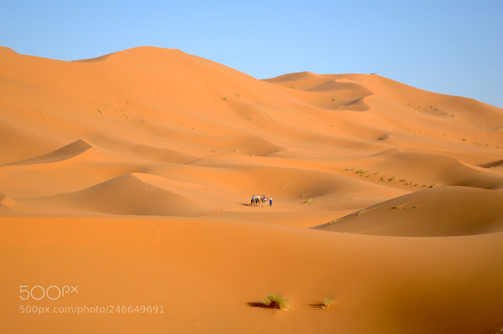 Nikon D3200 sample photo. Desert. photography