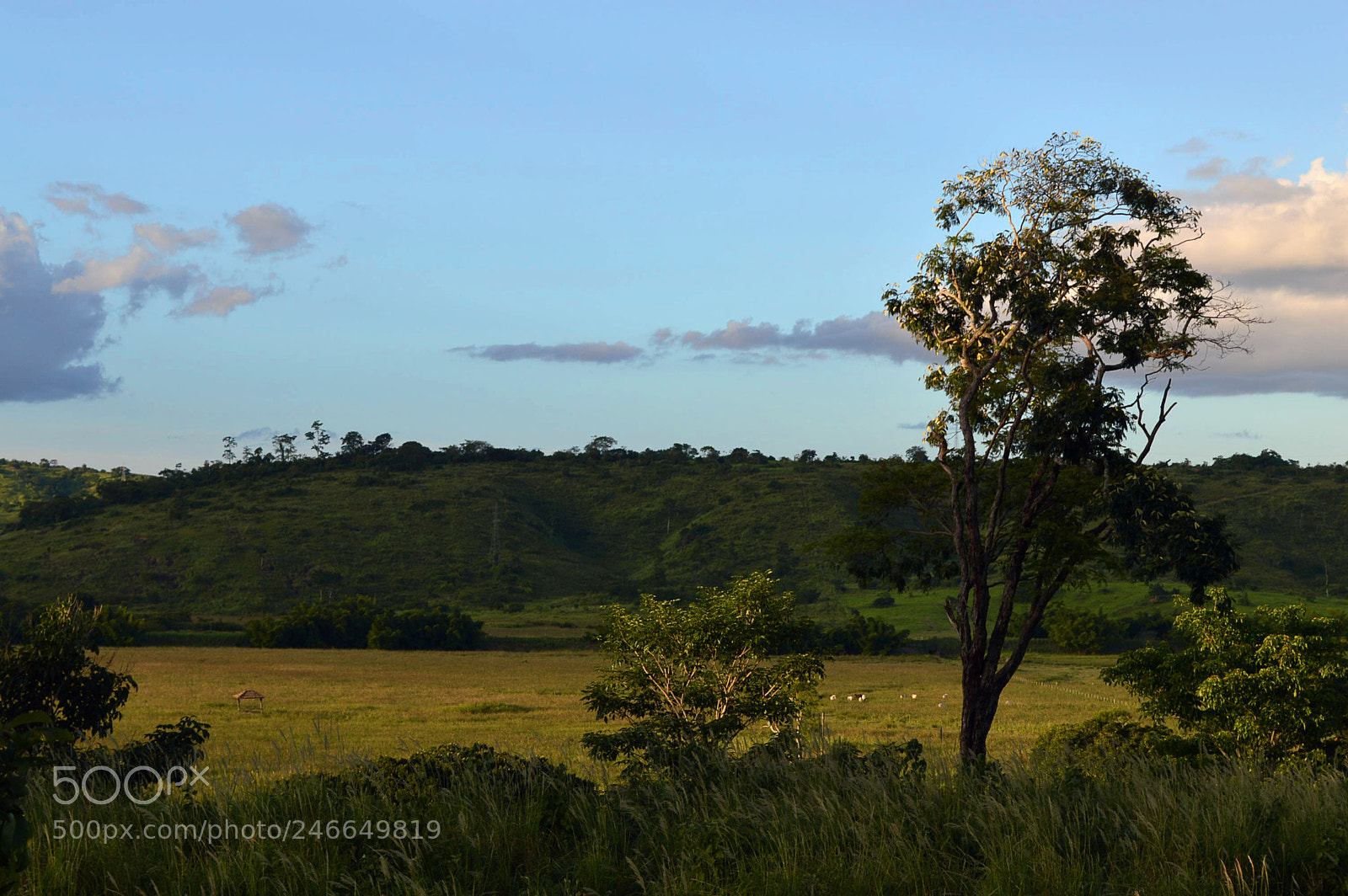 Nikon D3200 sample photo. Brasil landscape photography
