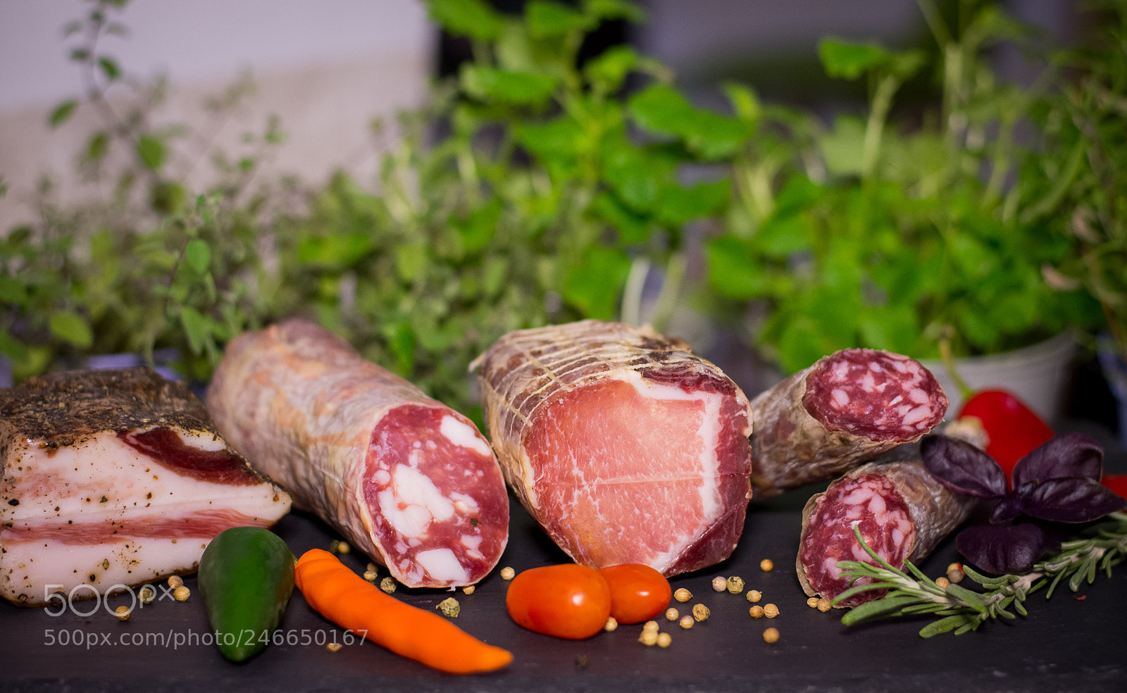 Nikon D7200 sample photo. Italian salami photography
