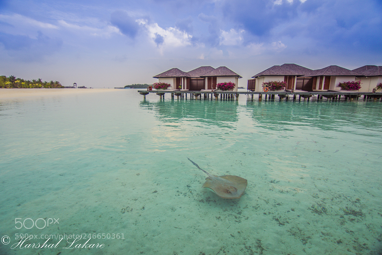 Canon EOS 7D Mark II sample photo. Swimming ufo ship photography
