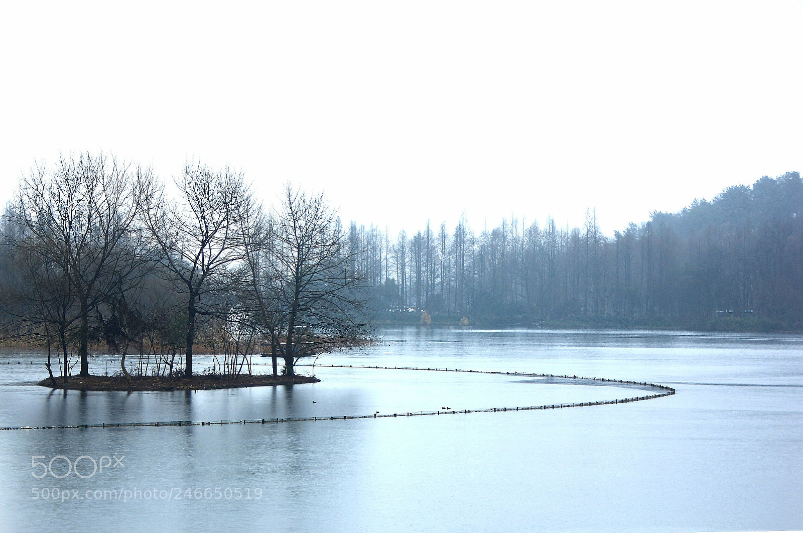 Canon EOS 60D sample photo. 上香古道 photography