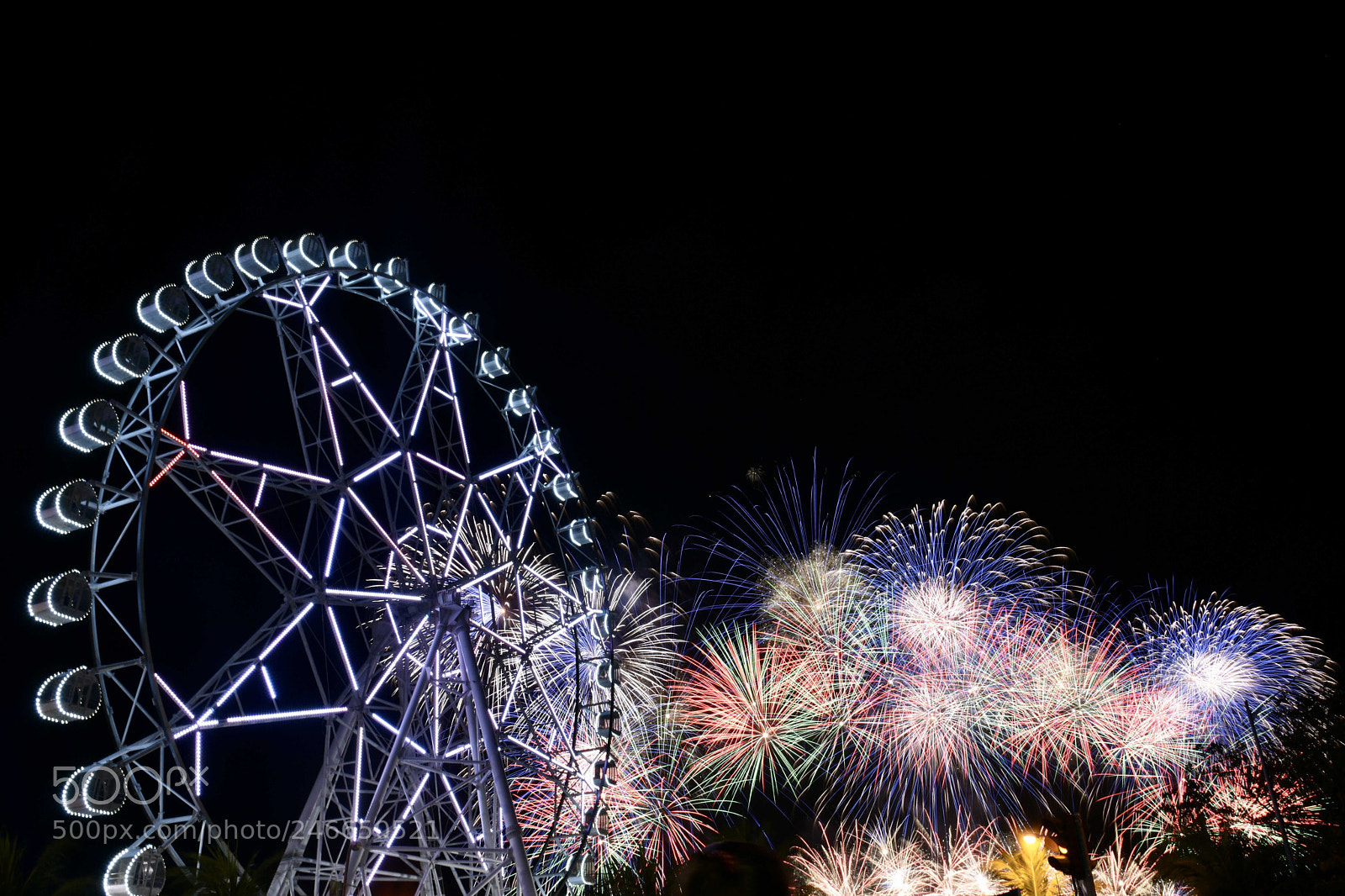 Nikon D810 sample photo. Firework show by the photography
