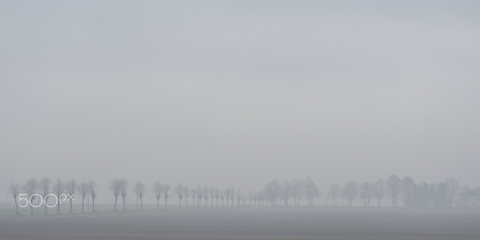 Nikon AF-S Nikkor 70-200mm F4G ED VR sample photo. Shooting fog photography
