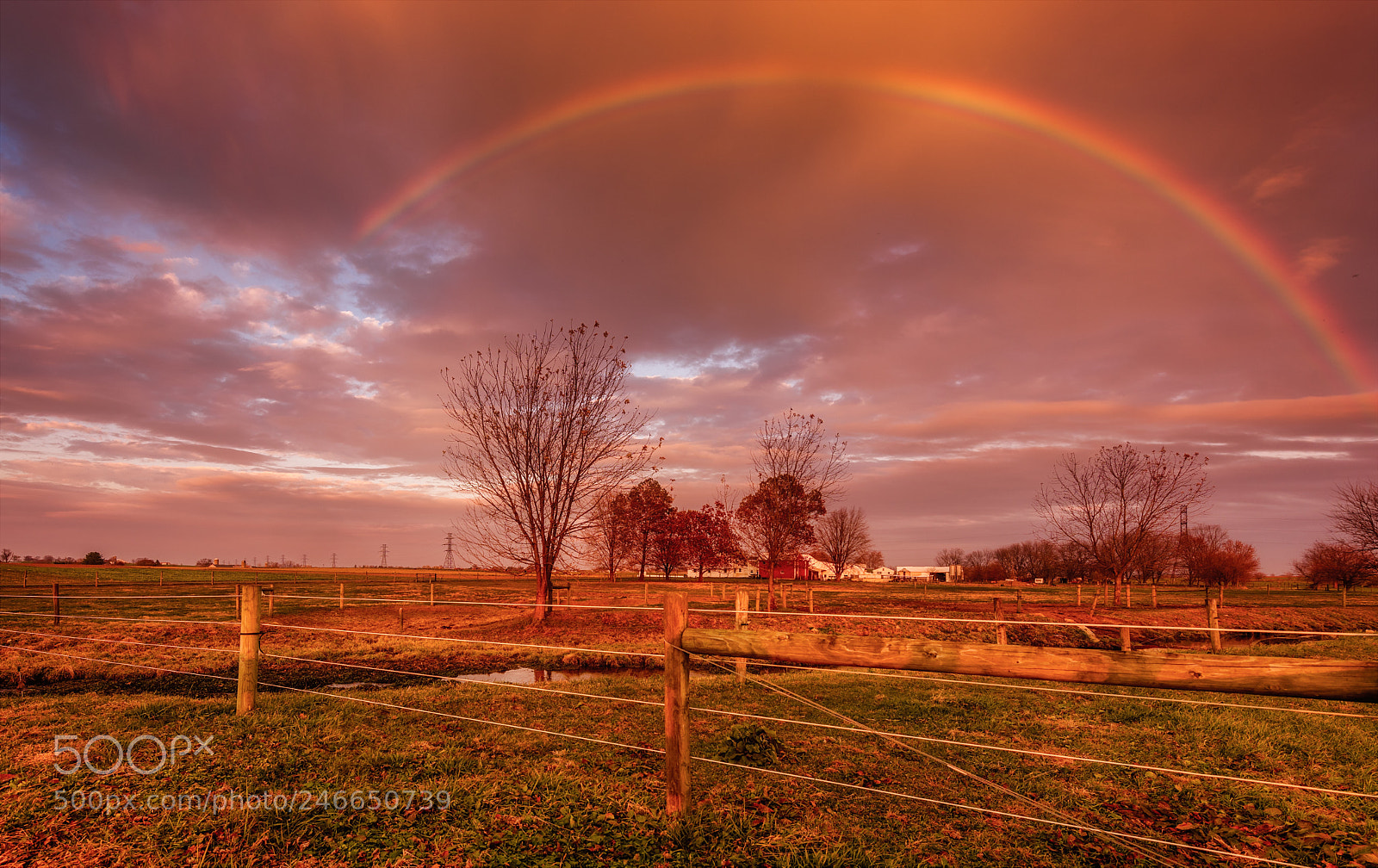 Nikon D810 sample photo. Rainbow connection photography
