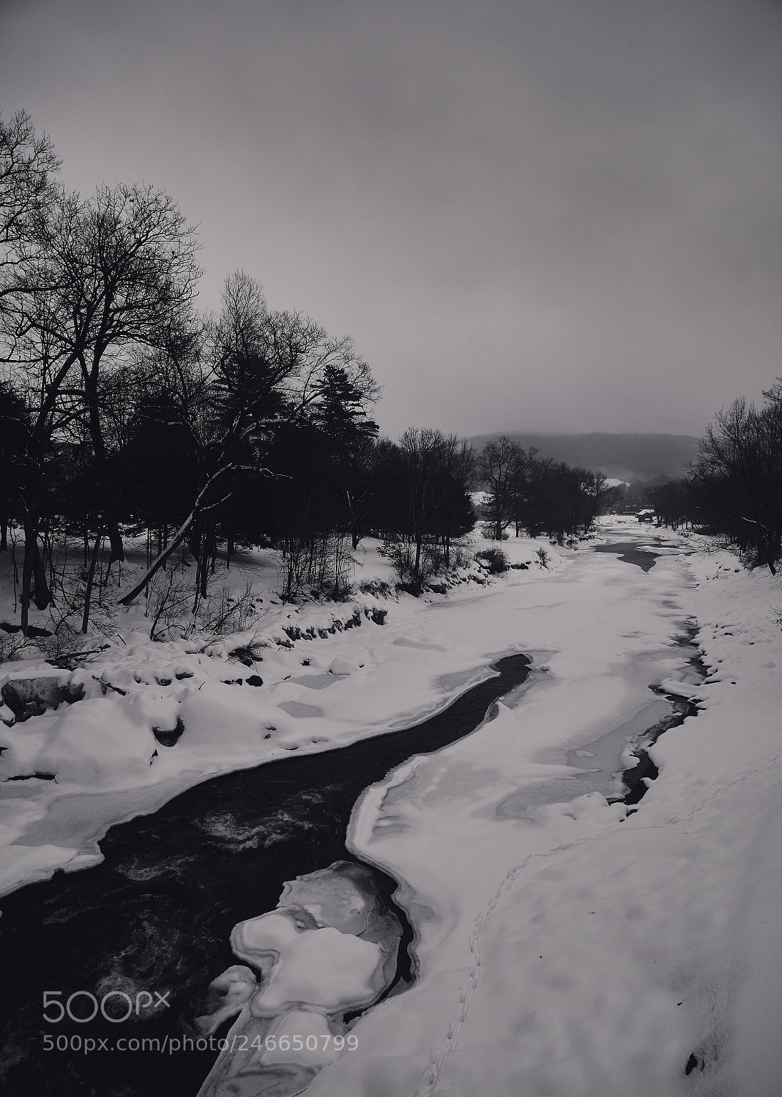 Panasonic Lumix DMC-G85 (Lumix DMC-G80) sample photo. Winter mood photography