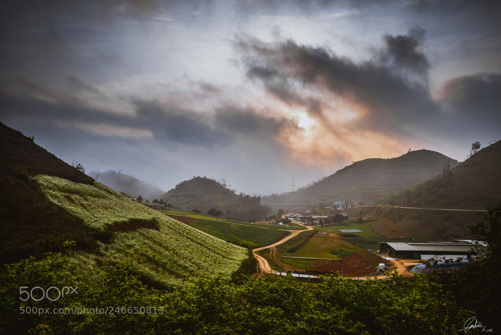 Nikon D800 sample photo. Moc chau, viet nam photography