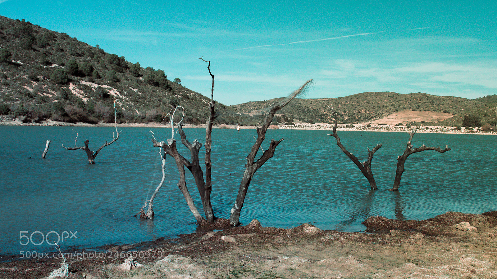 Nikon D3100 sample photo. Sidi medien photography