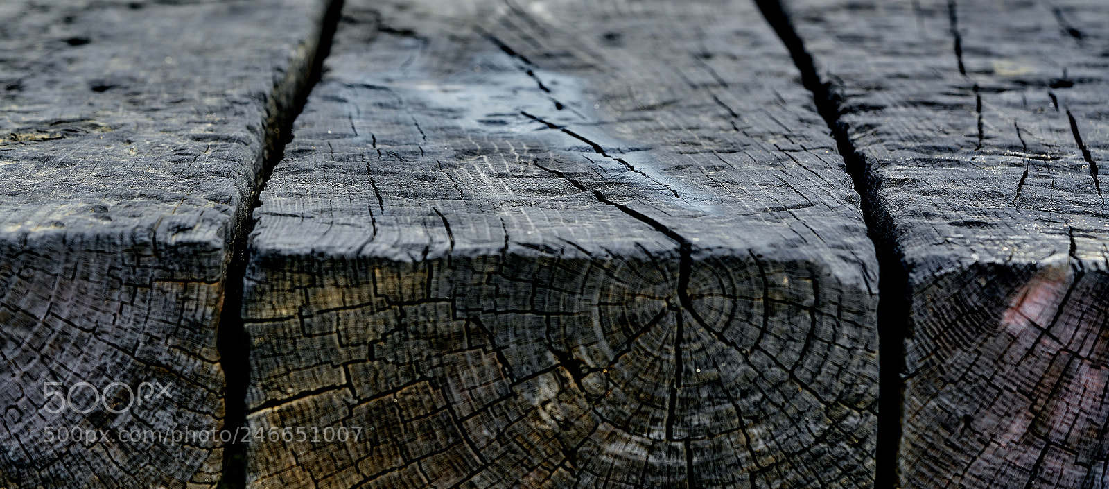 Sony a7R II sample photo. Black cracks photography