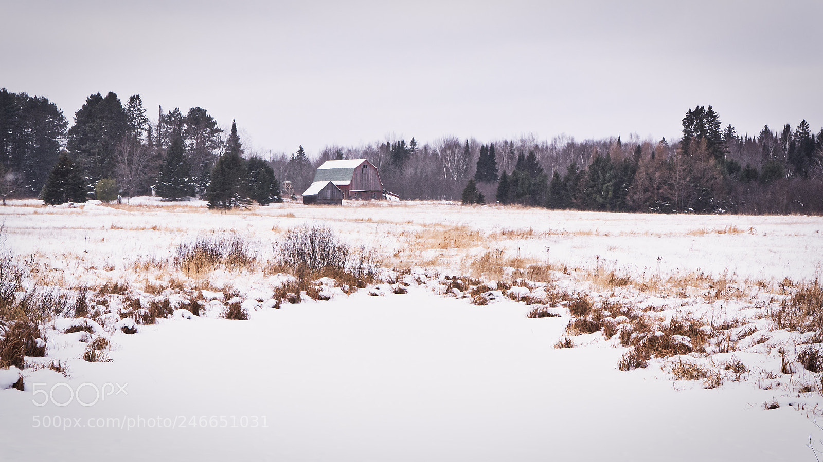 Panasonic Lumix DMC-GH3 sample photo. Fallow photography