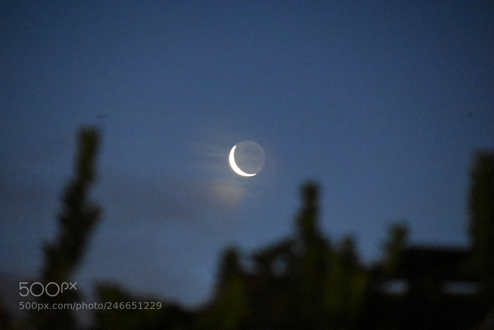 Nikon D3400 sample photo. ? photography