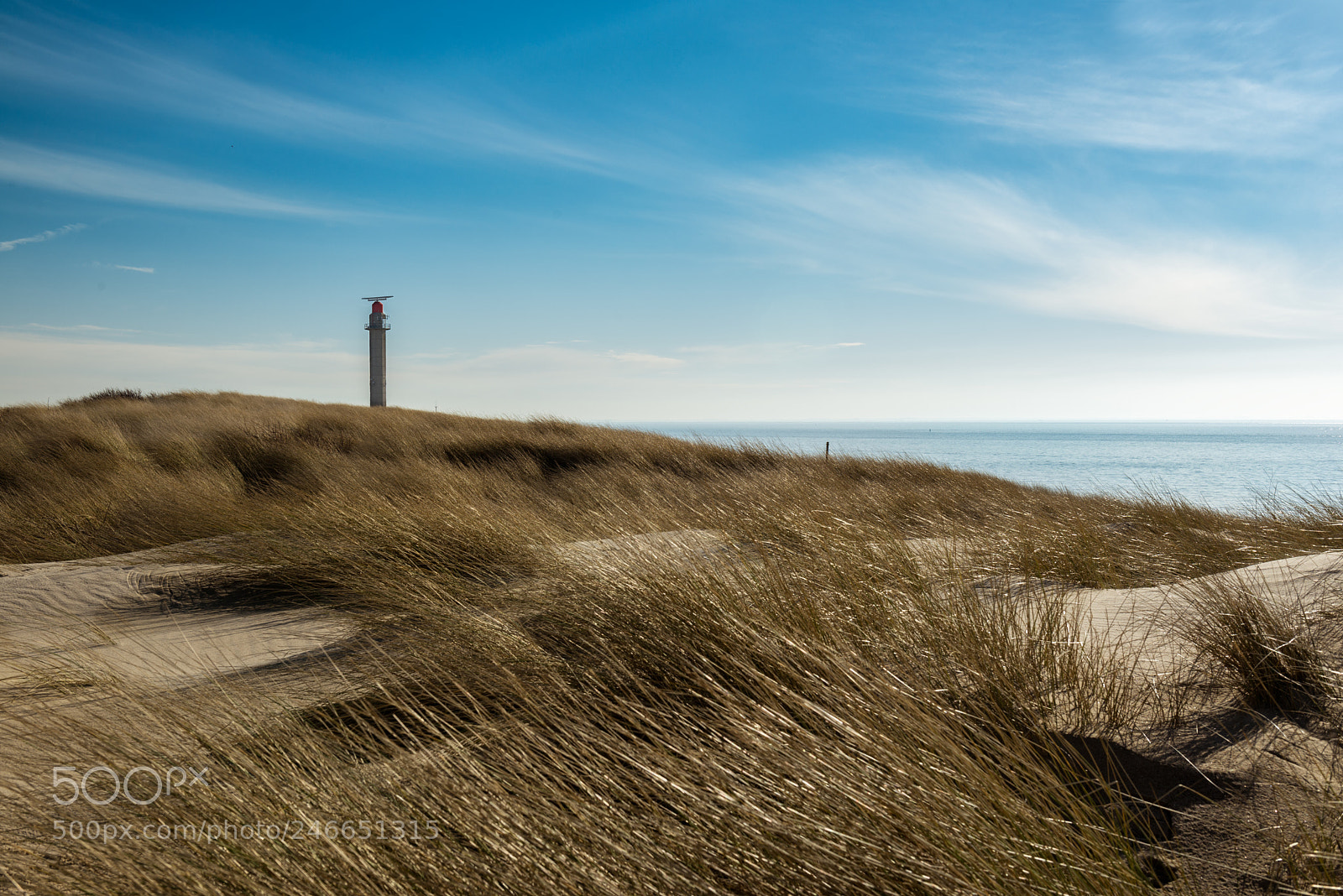 Nikon D610 sample photo. Beautiful winter dunes photography