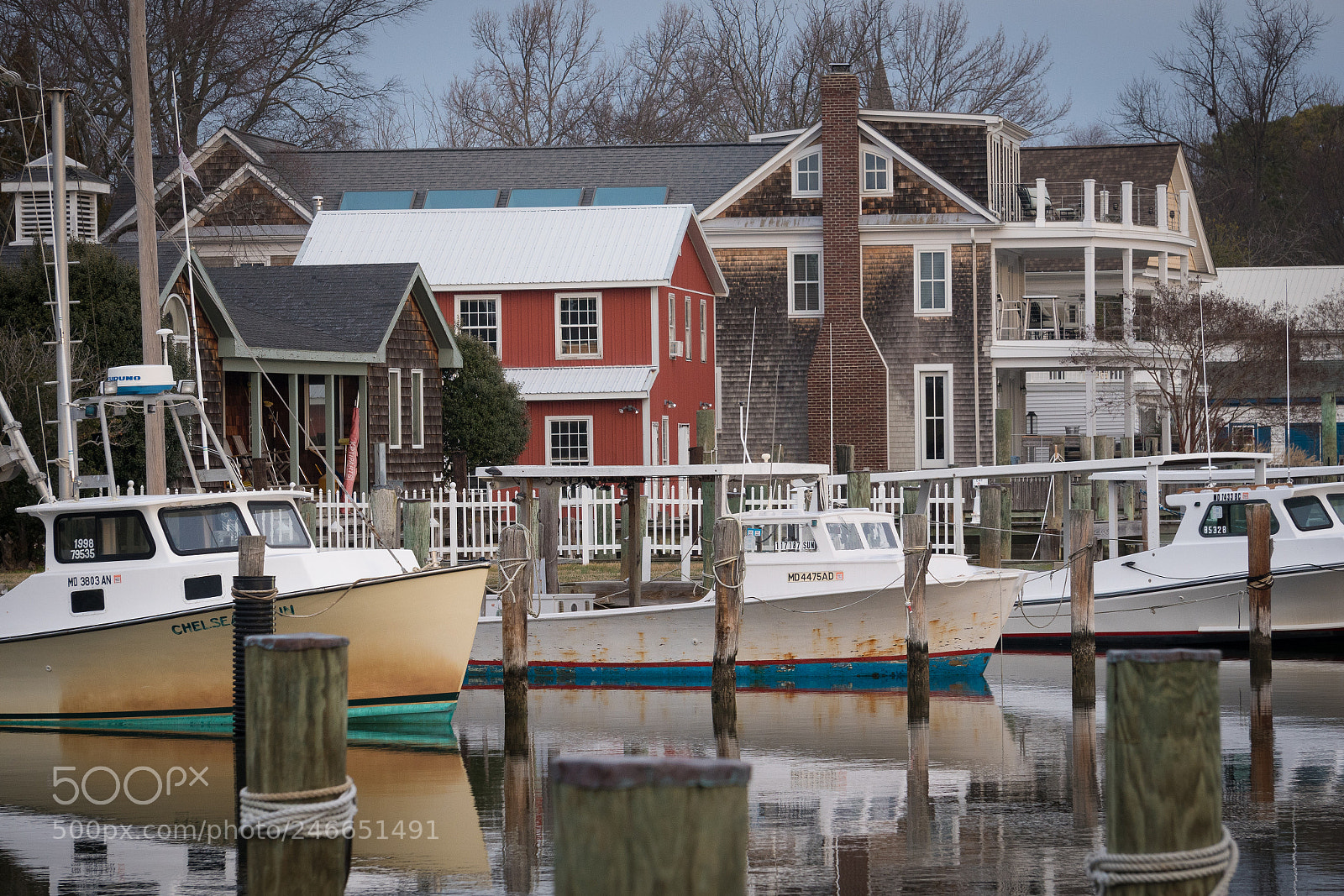 Sony a7R III sample photo. Morning on town creek photography