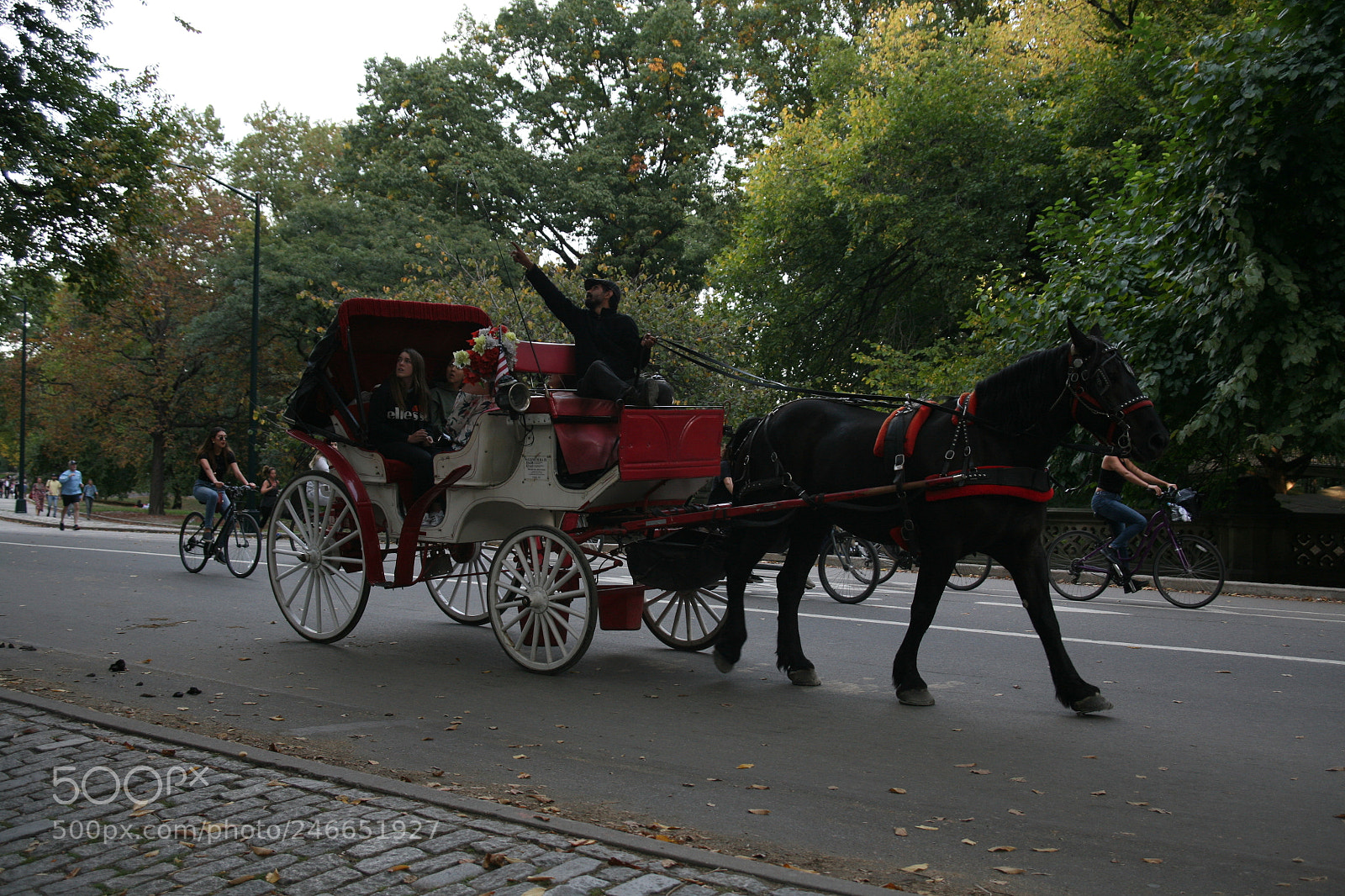 Canon EOS 5D sample photo. Img photography