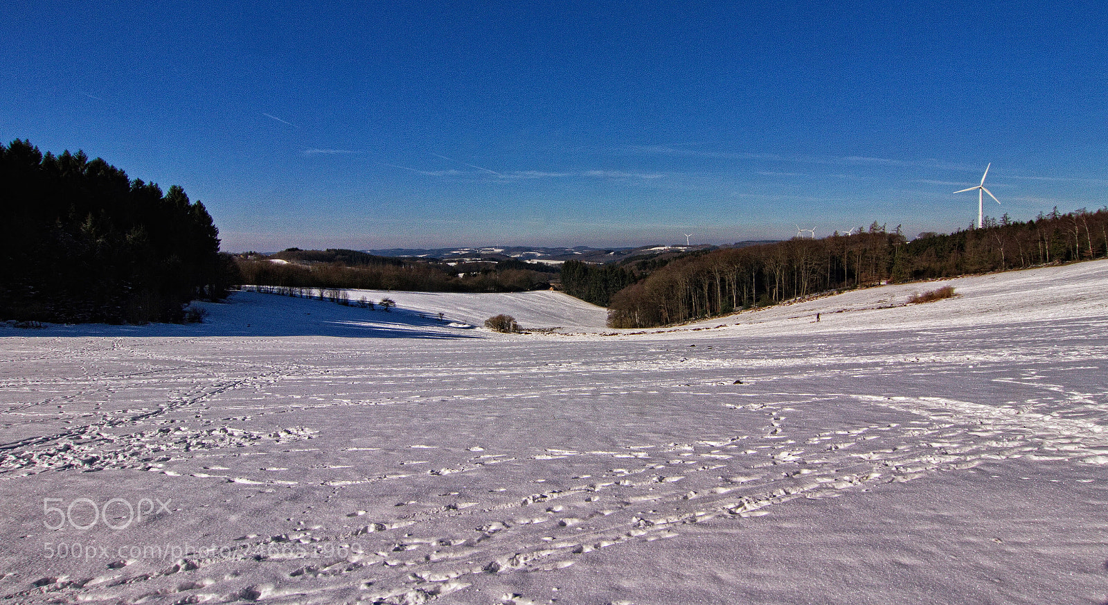 Canon EOS 7D sample photo. Winterland photography