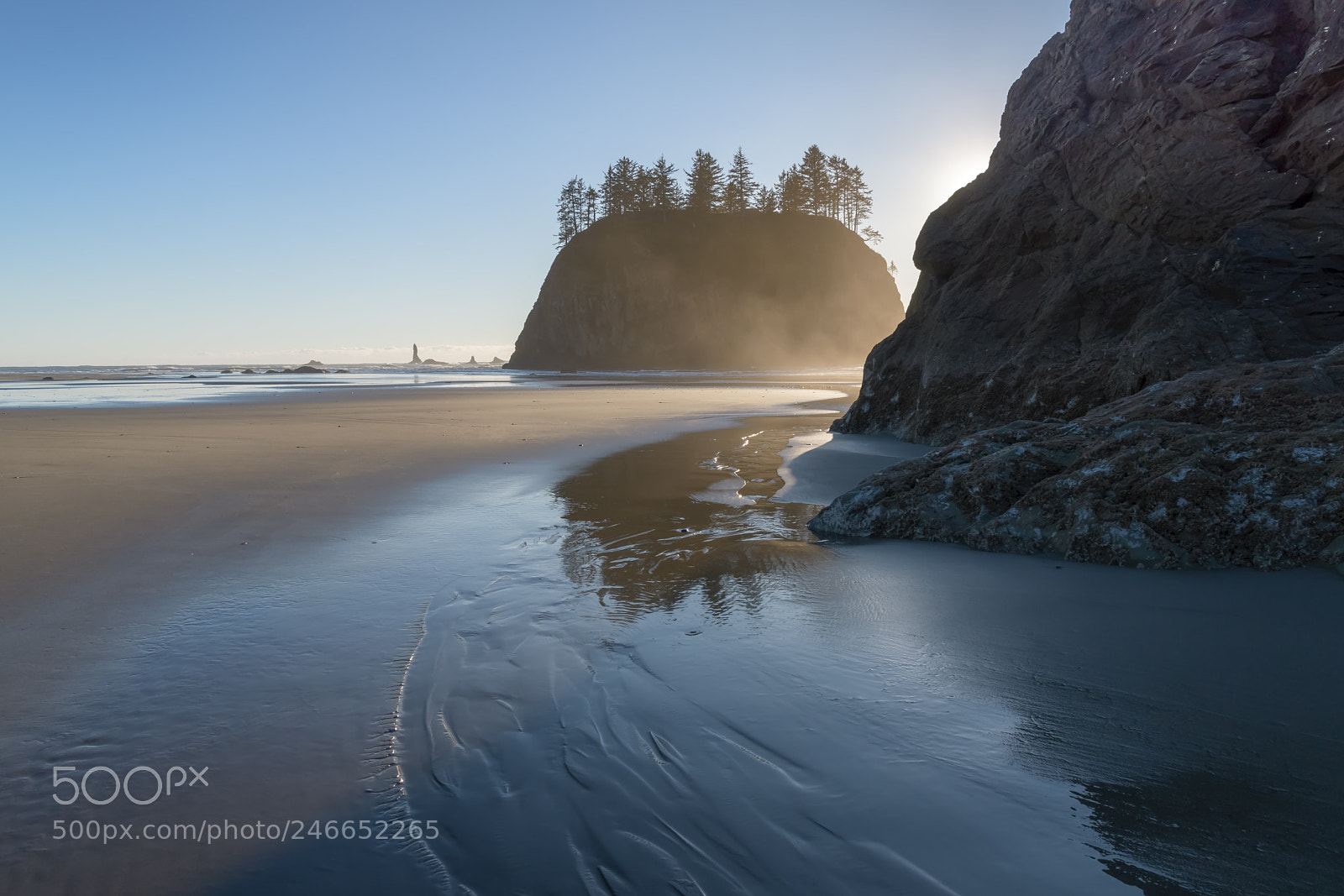 Nikon D500 sample photo. Second beach, olympic national photography