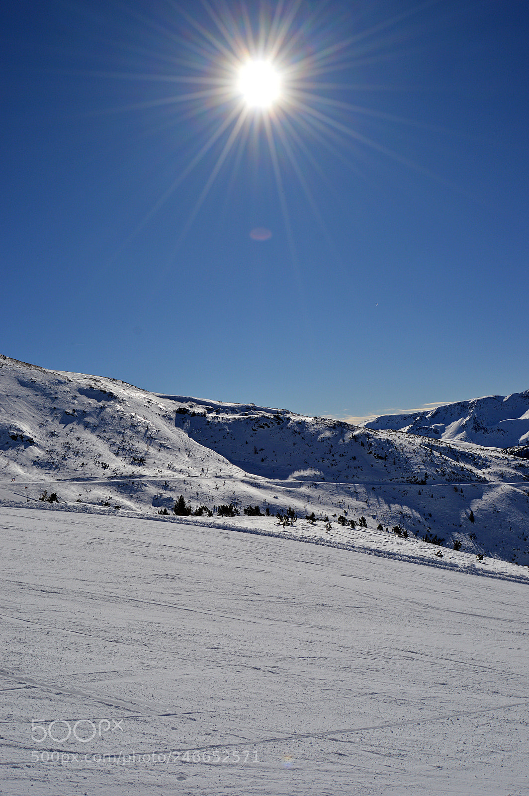 Nikon D3200 sample photo. Sunny winter day photography