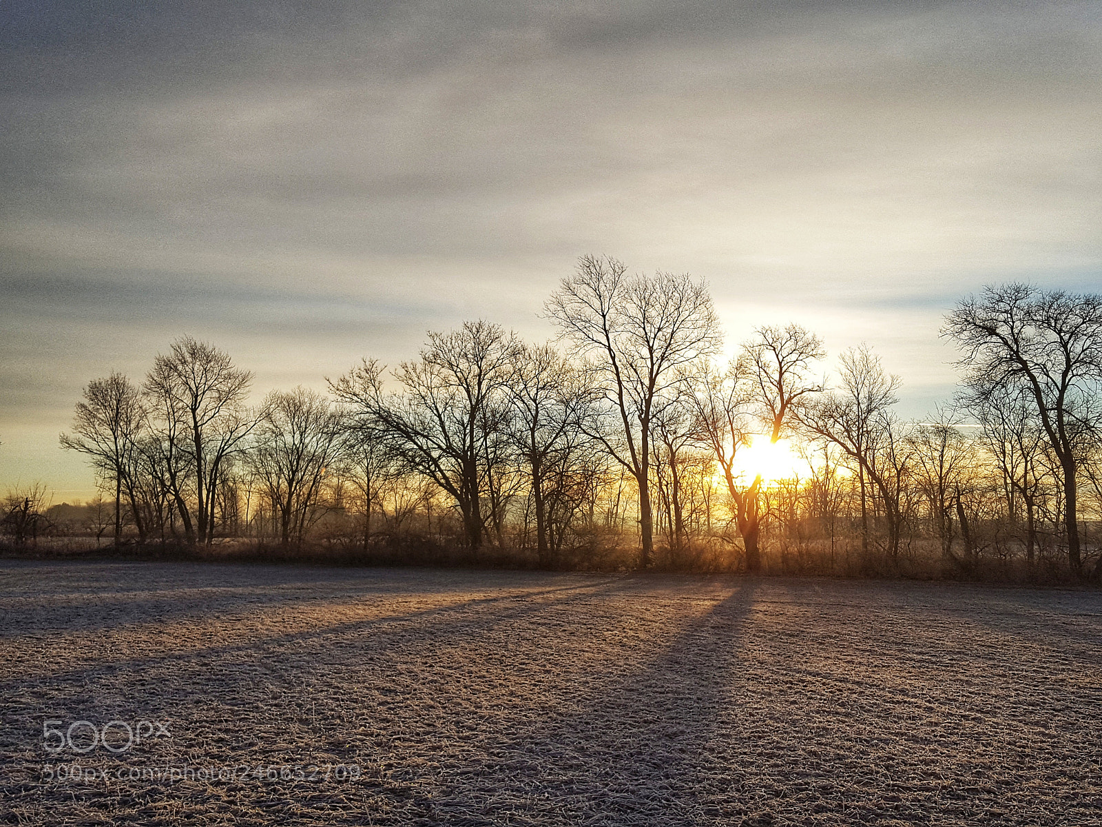 Samsung GALAXY S6 edge sample photo. Golden sunrise photography