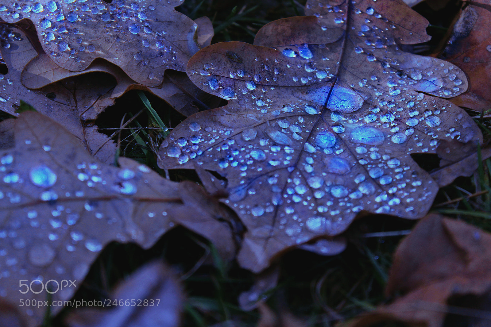 Canon EOS 650D (EOS Rebel T4i / EOS Kiss X6i) sample photo. Diamonds photography