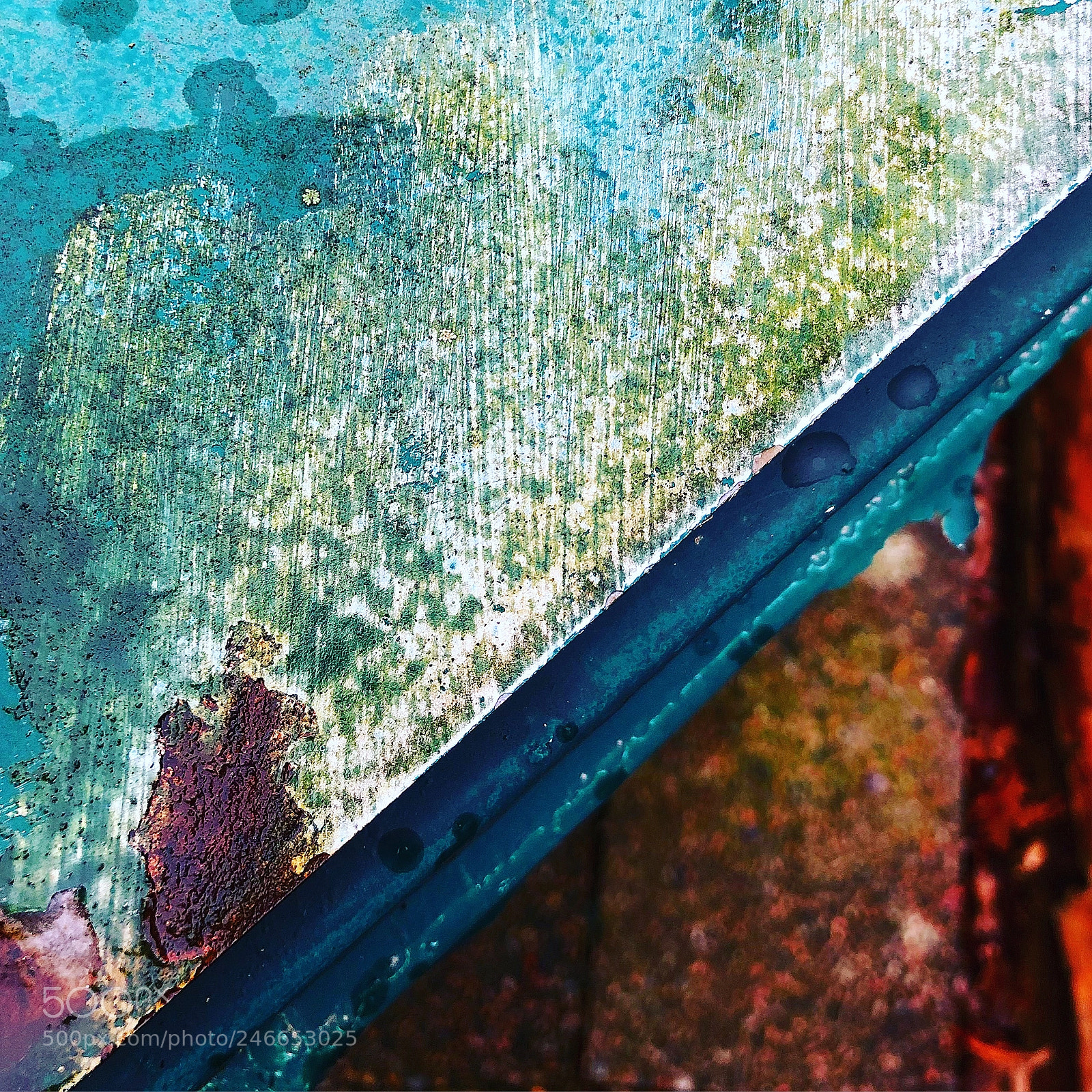 Apple iPhone 8 Plus sample photo. Fascinating rusty colours stillife photography