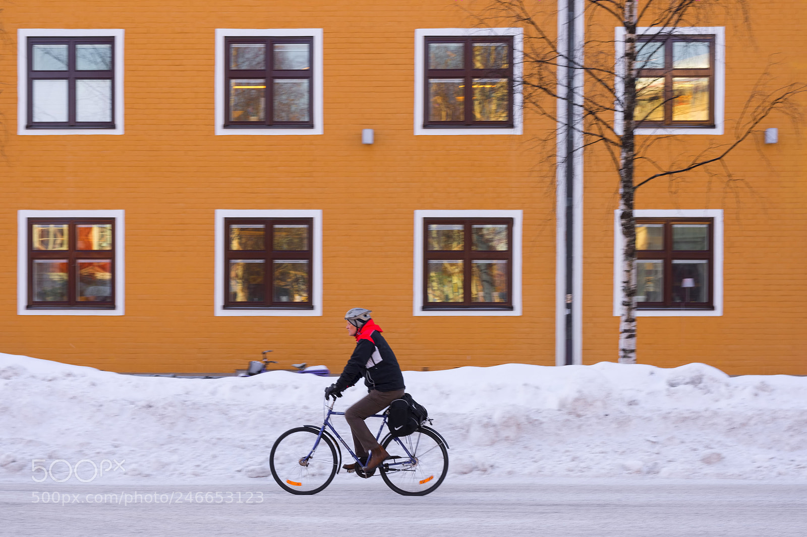 Nikon D610 sample photo. The swedish bike rider photography