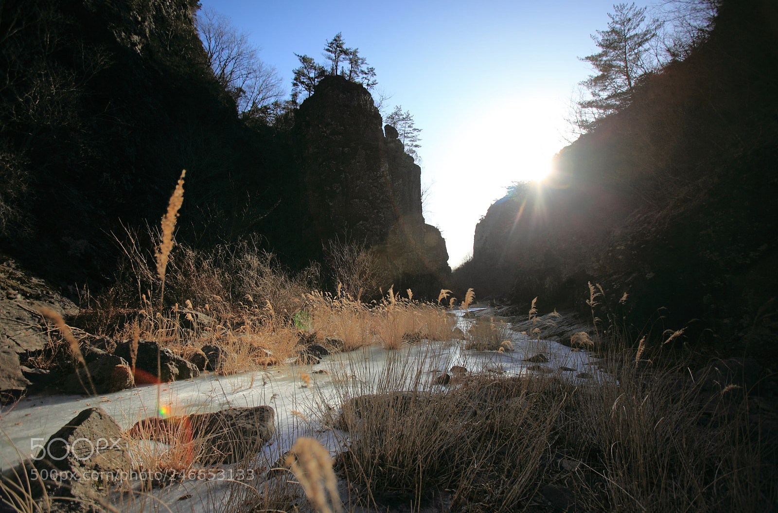 Canon EOS 5D Mark II sample photo. Winter stream photography