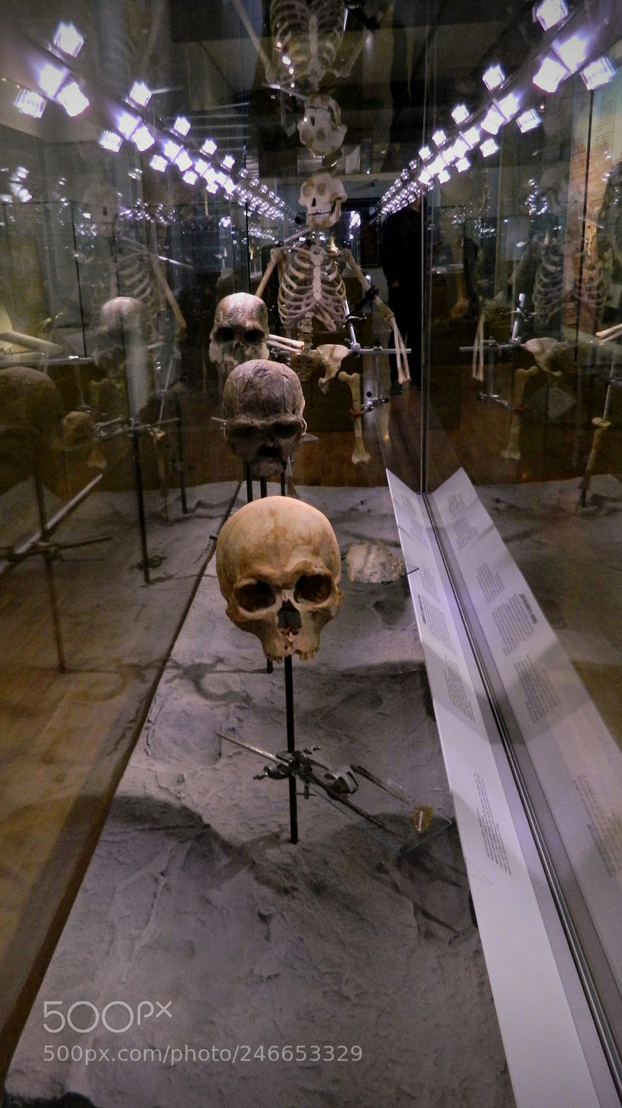 Nikon Coolpix L120 sample photo. Memento mori photography