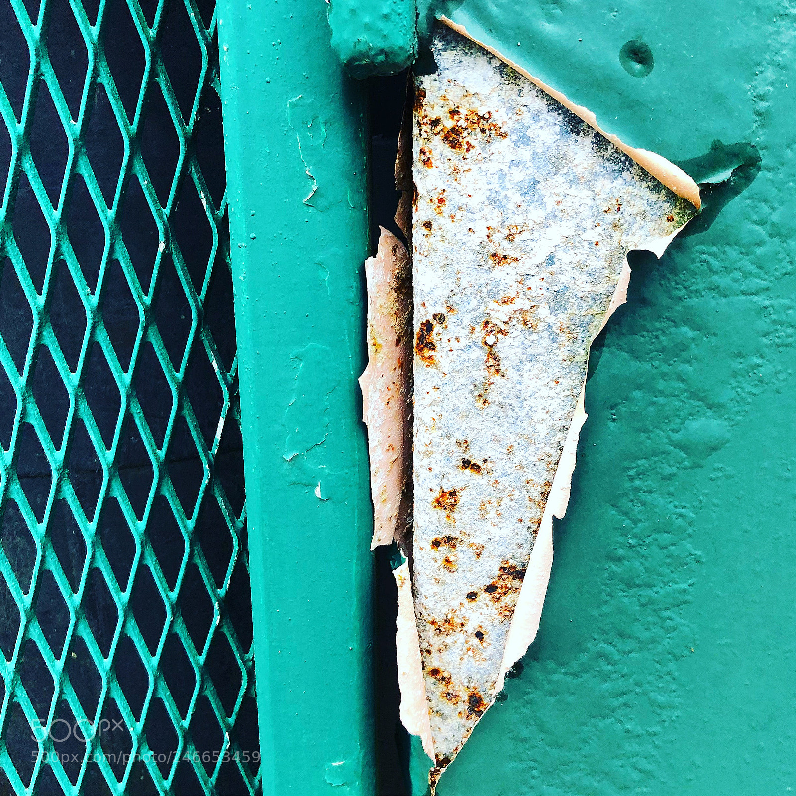Apple iPhone 8 Plus sample photo. Fascinating rusty colours stillife photography