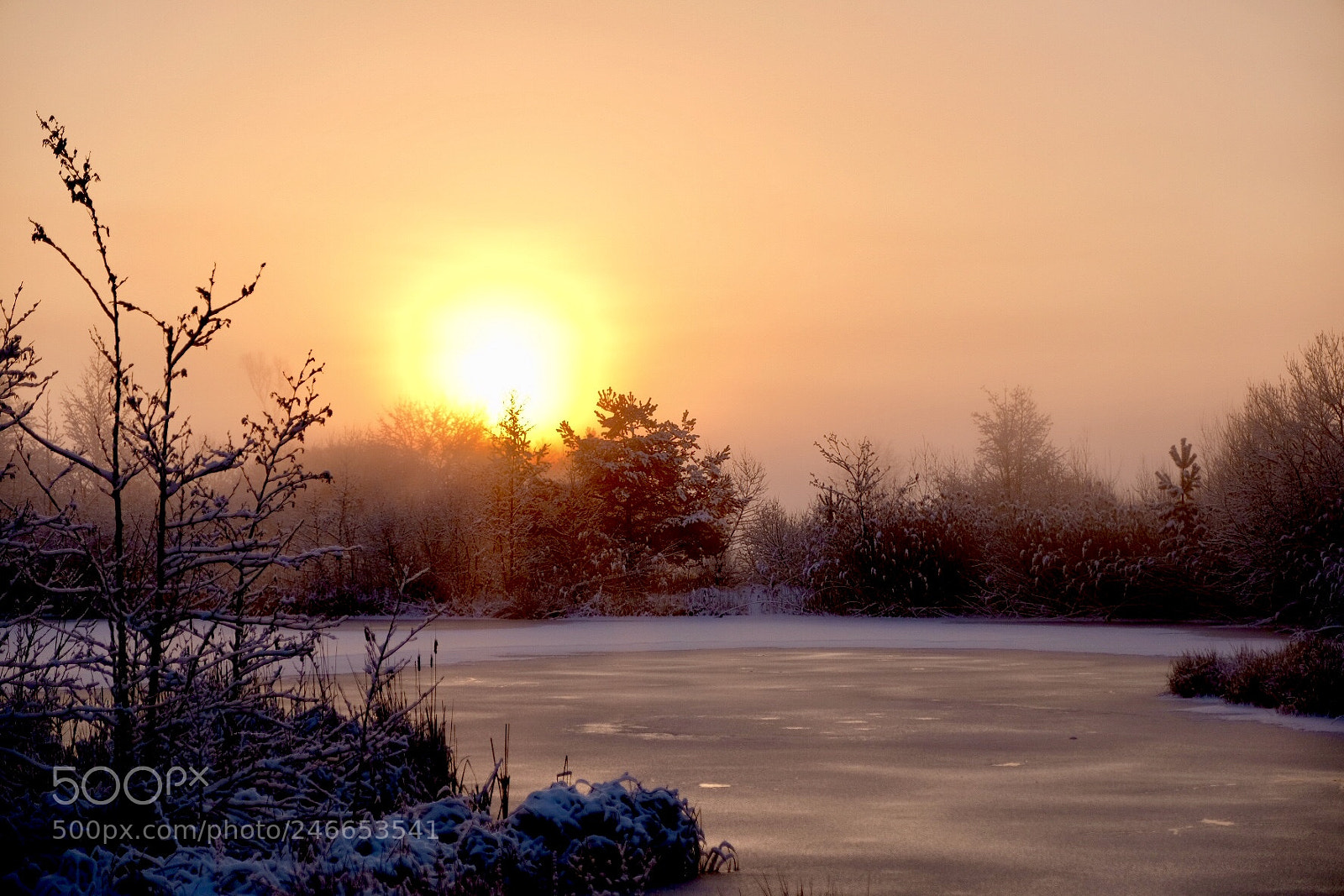 Fujifilm X-T2 sample photo. Wintermorgen photography