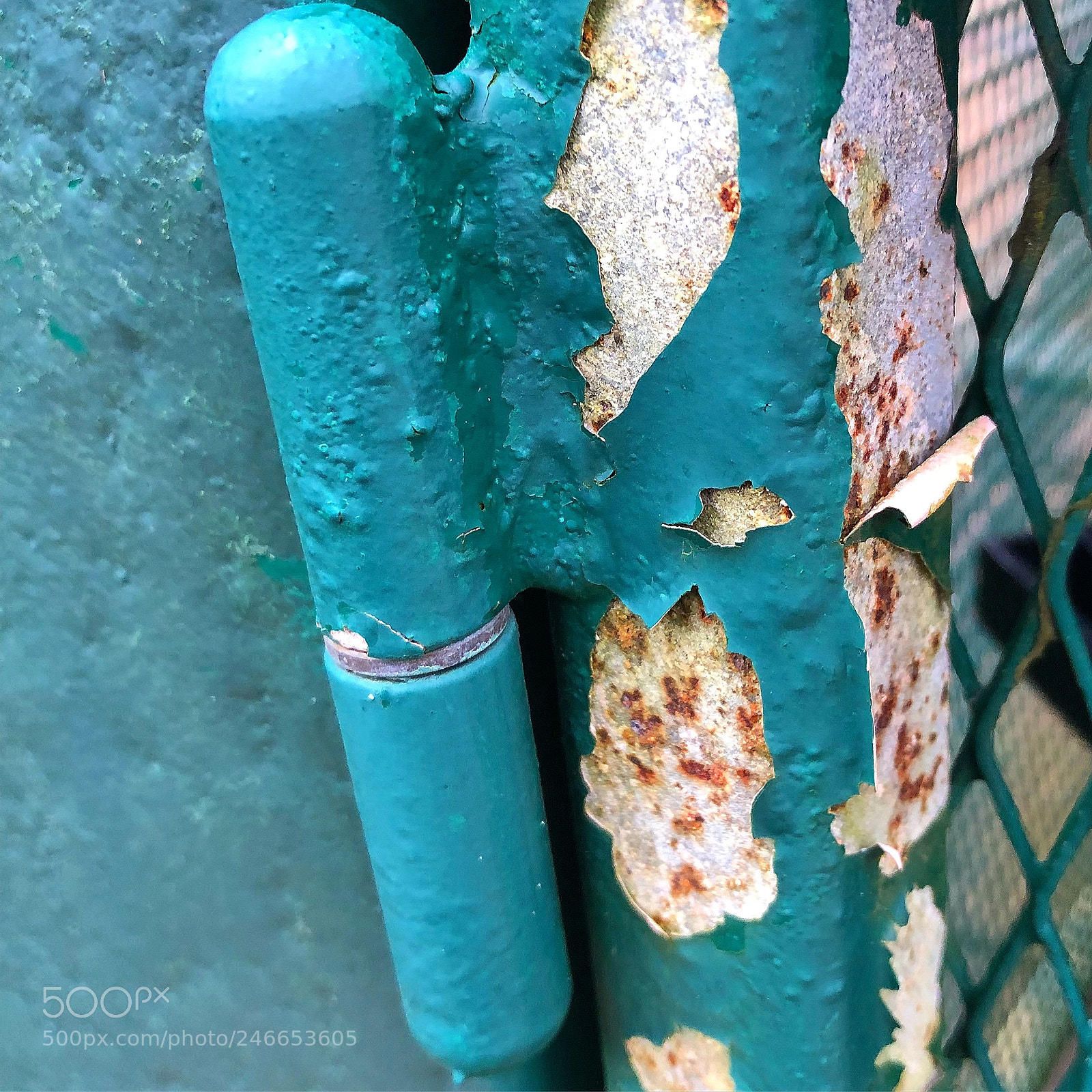 Apple iPhone 8 Plus sample photo. Fascinating rusty colours stillife photography