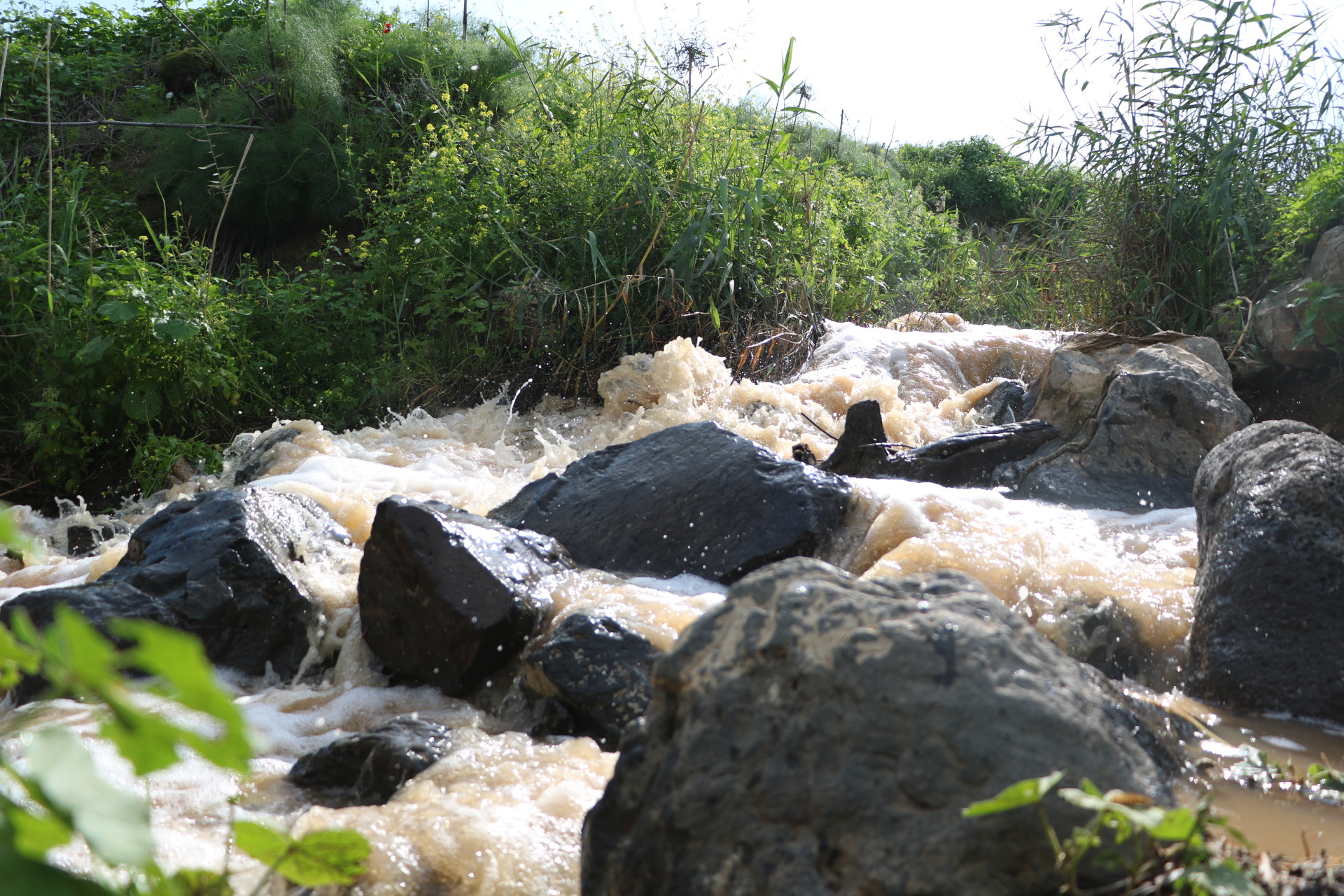 Canon EOS 760D (EOS Rebel T6s / EOS 8000D) sample photo