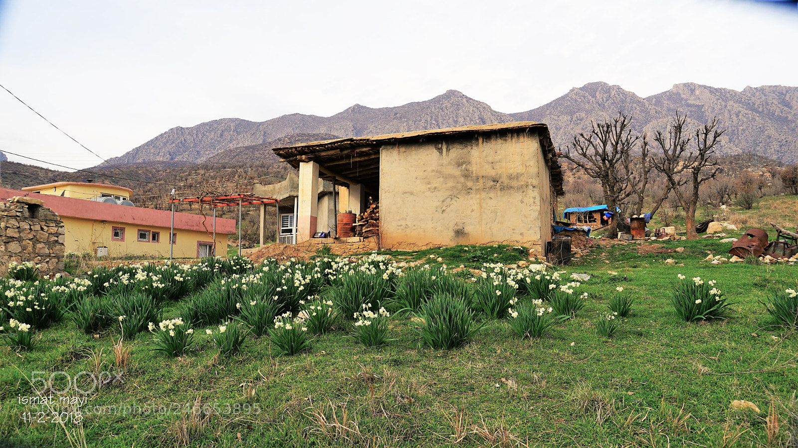 Sony a7 II sample photo. 22.jpg photography