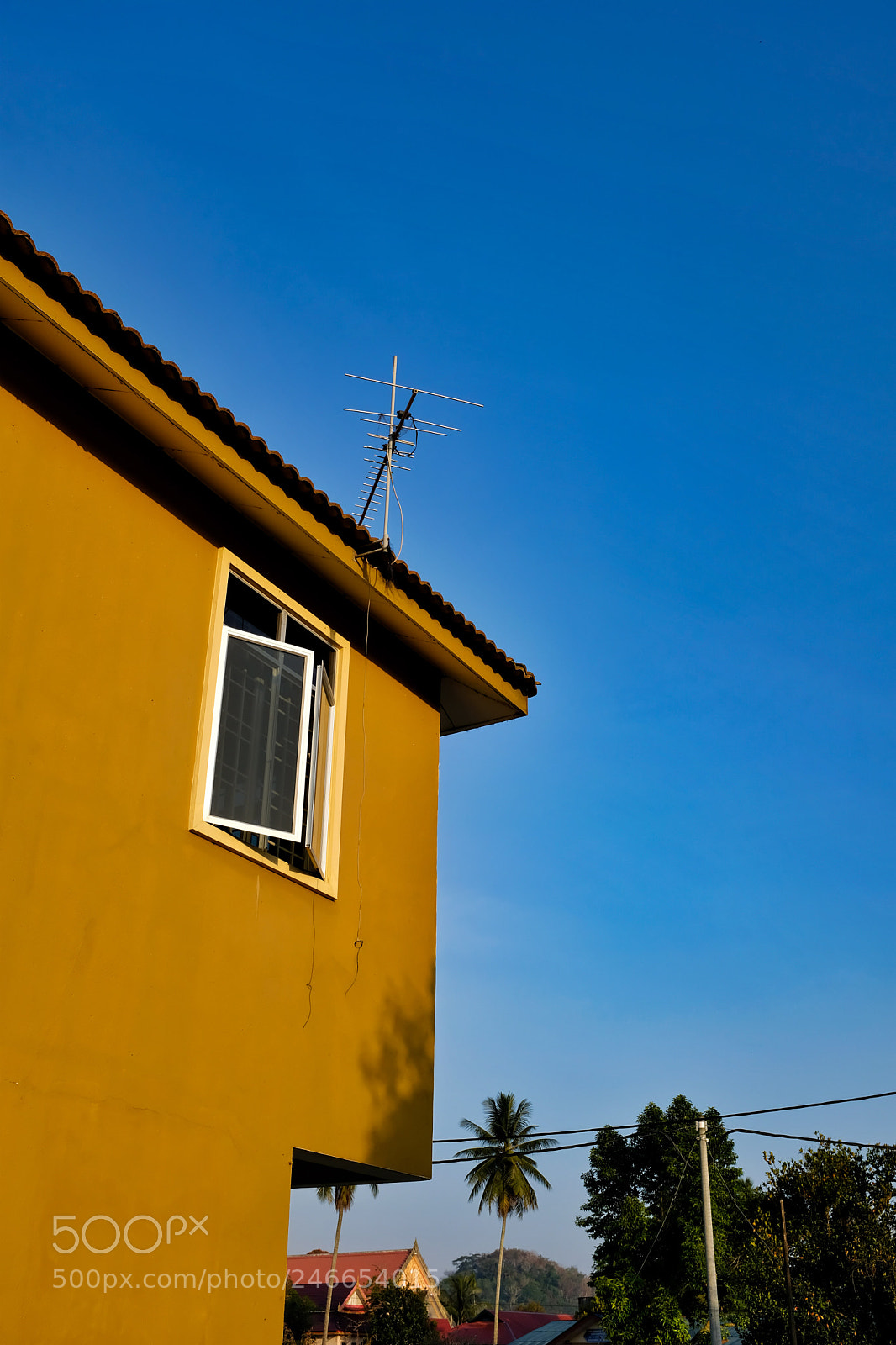 Fujifilm X100F sample photo. Backyard photography