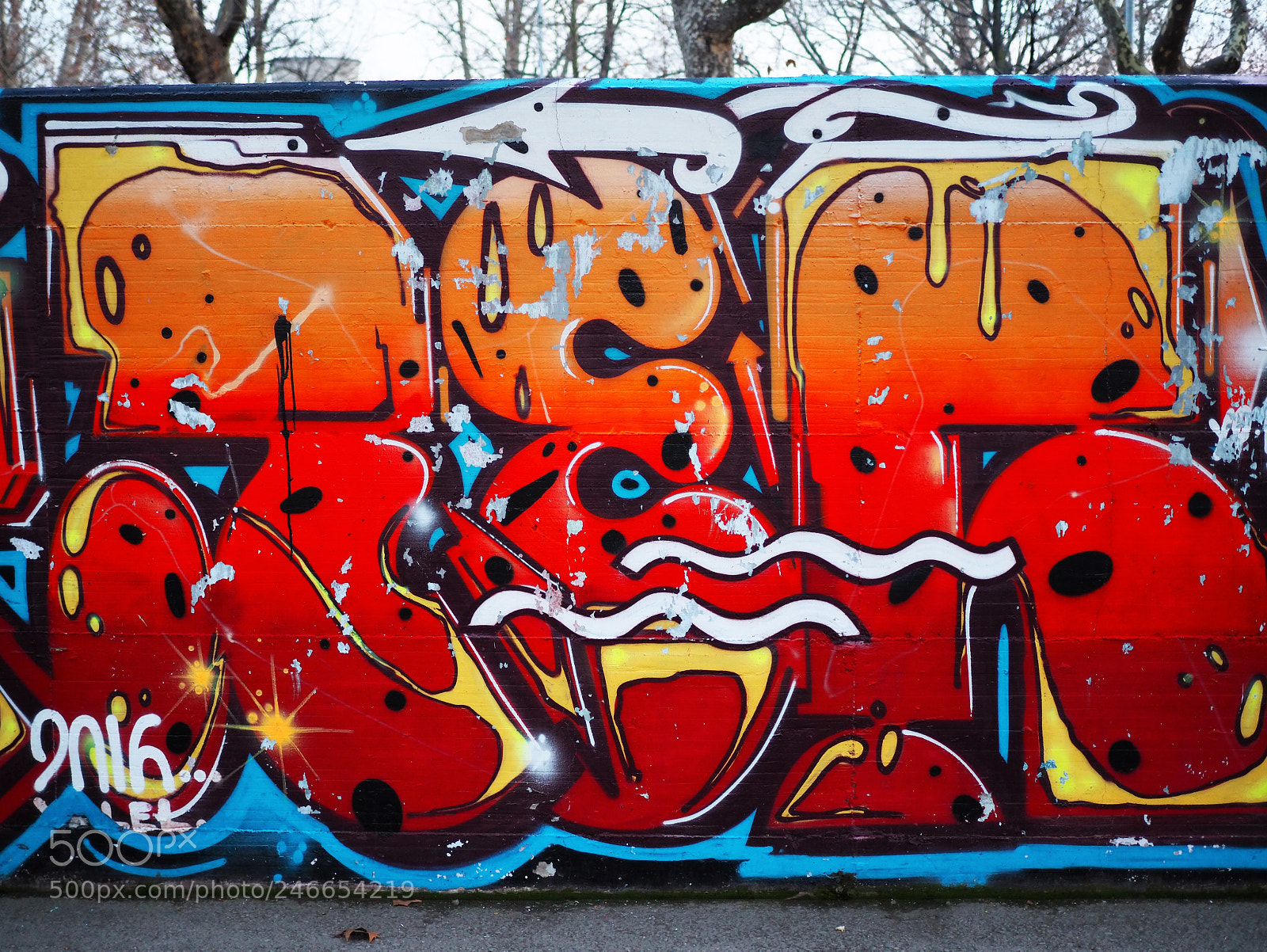 Olympus OM-D E-M10 III sample photo. Vibrant photography