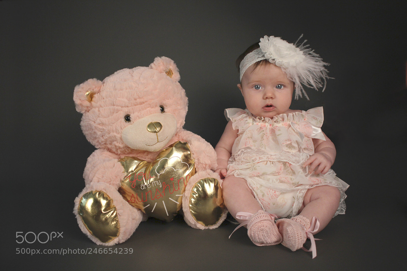 Canon EOS 60D sample photo. Pink bear with kaia photography