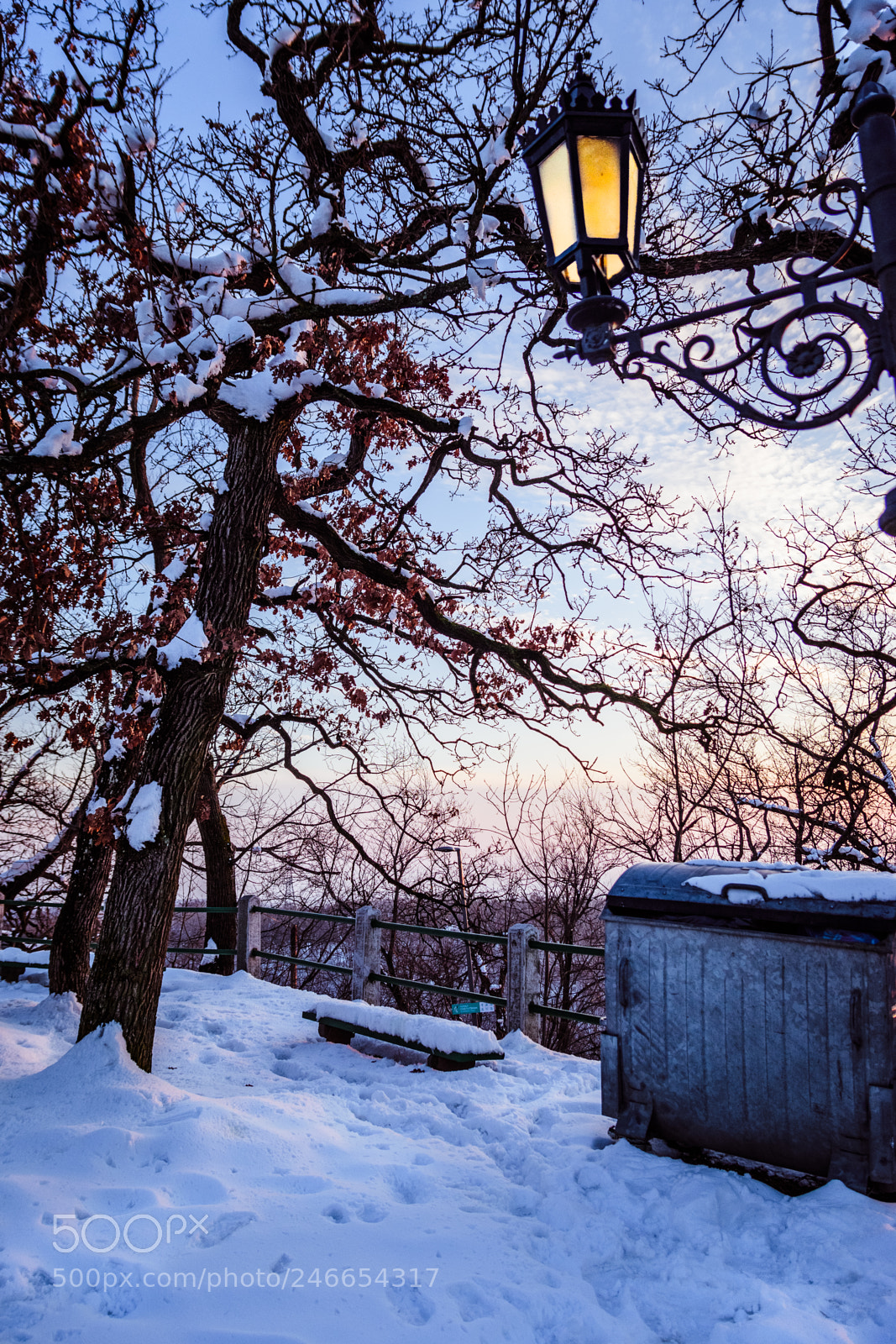 Nikon D7200 sample photo. -snowbjective- photography