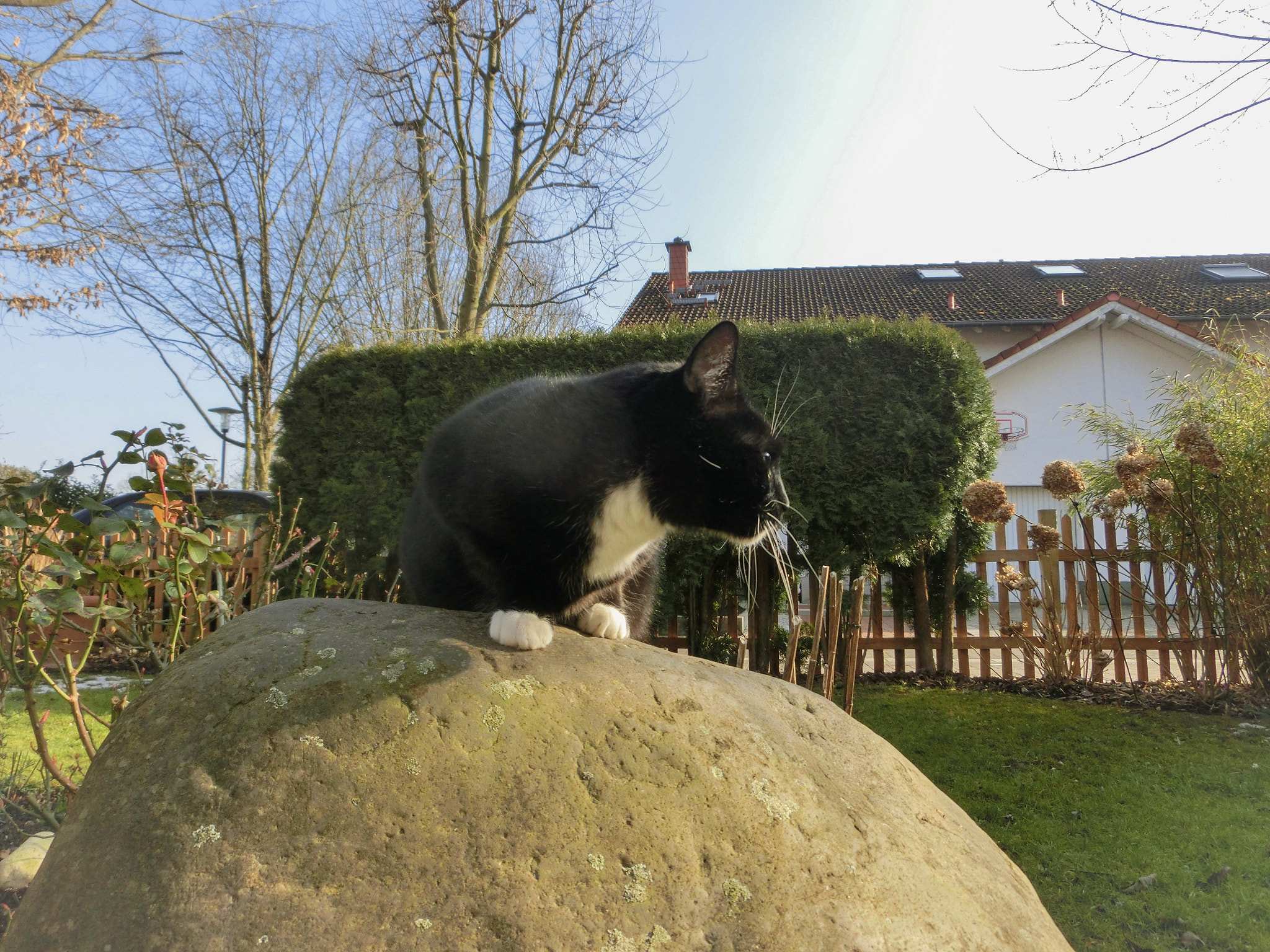 CASIO EX-ZR300 sample photo. 👉follow for more daily catastic pictures and shar ... photography