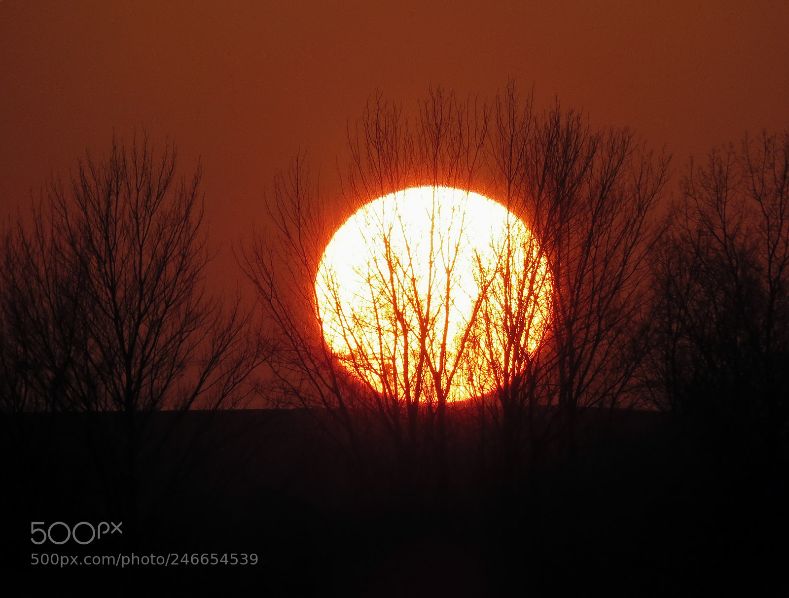Canon PowerShot SX60 HS sample photo. Winter sunset sun photography
