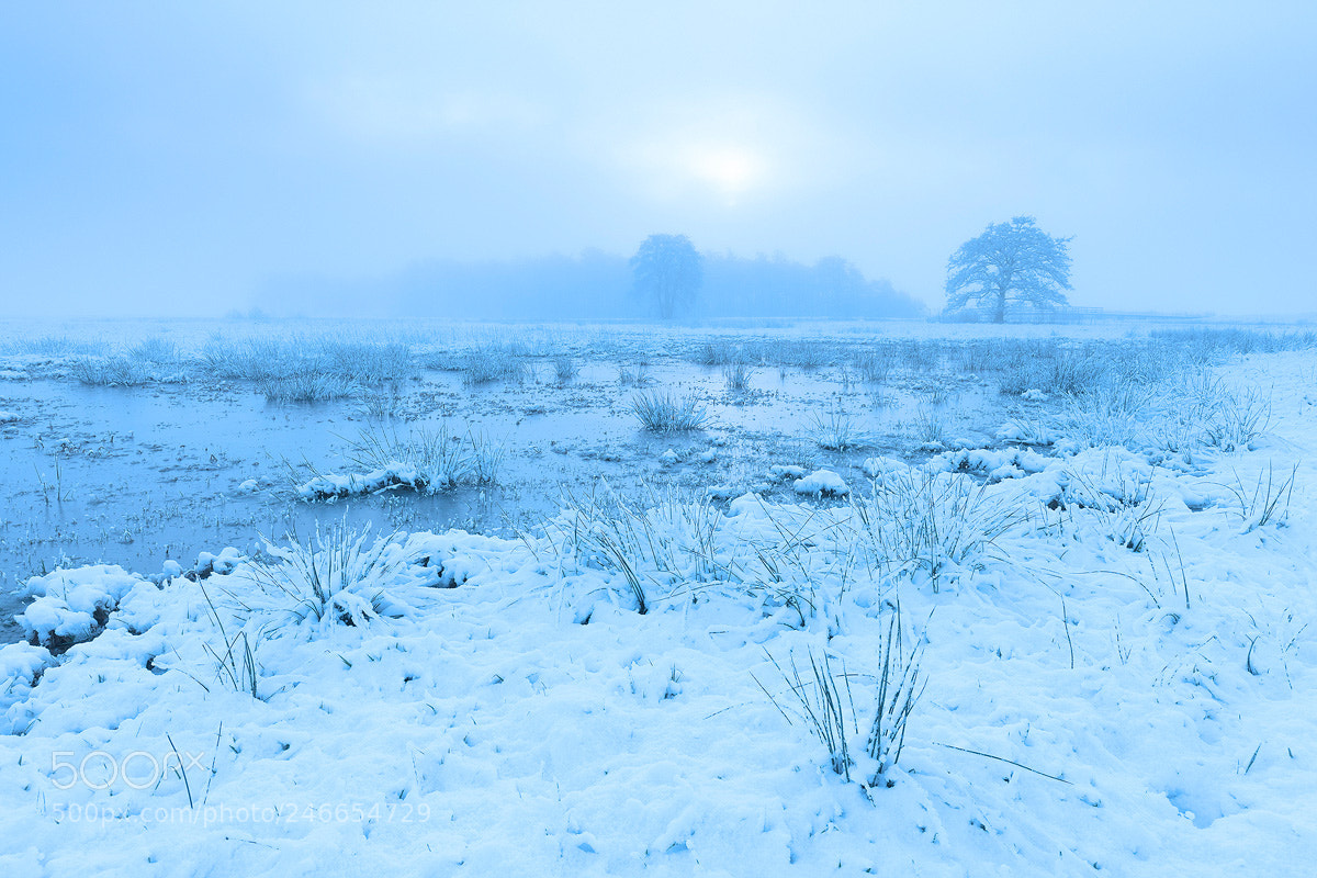 Canon EOS 5D Mark II sample photo. Winter mood photography