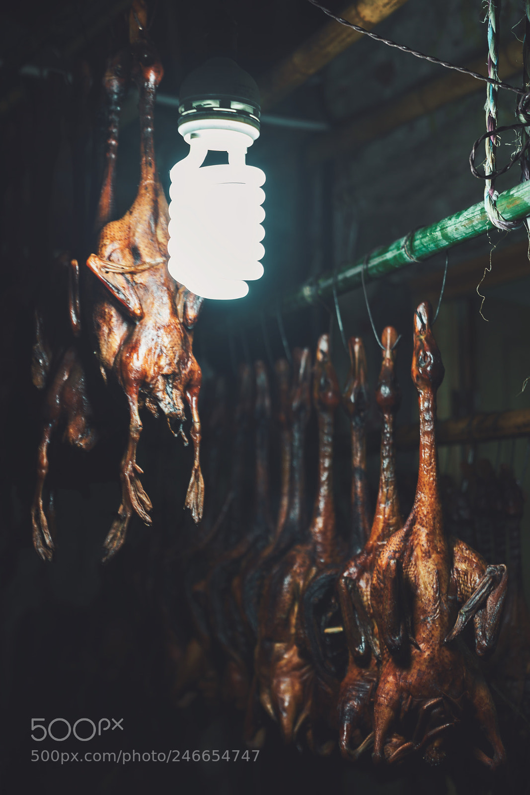 Sony a7R III sample photo. 安昌的酱鸭 photography