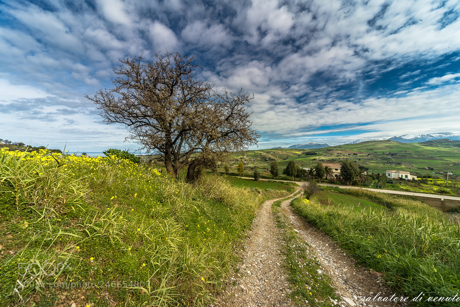 Nikon D610 sample photo. Impressionismo photography