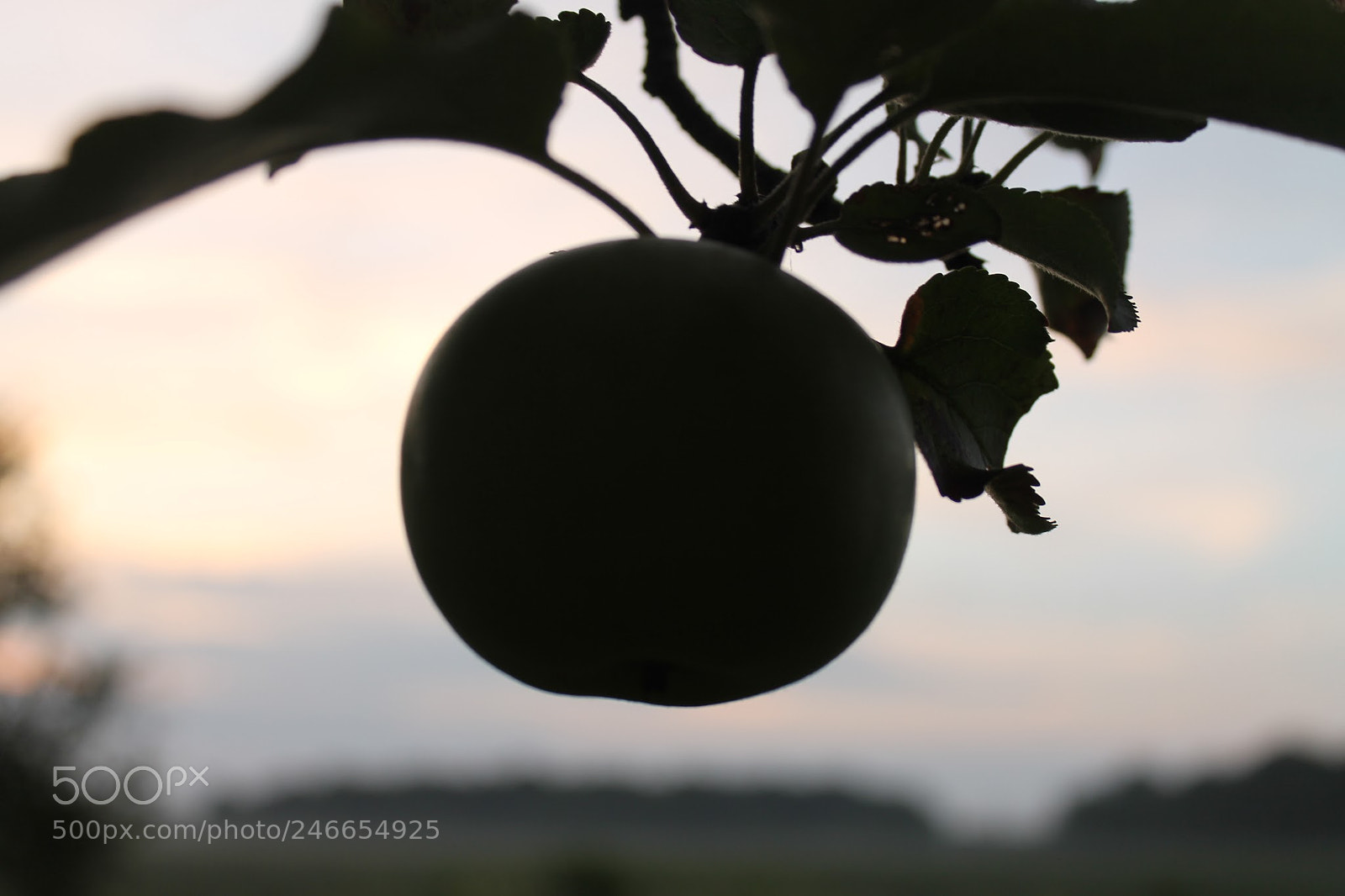 Canon EOS 1100D (EOS Rebel T3 / EOS Kiss X50) sample photo. Things we overlook things photography