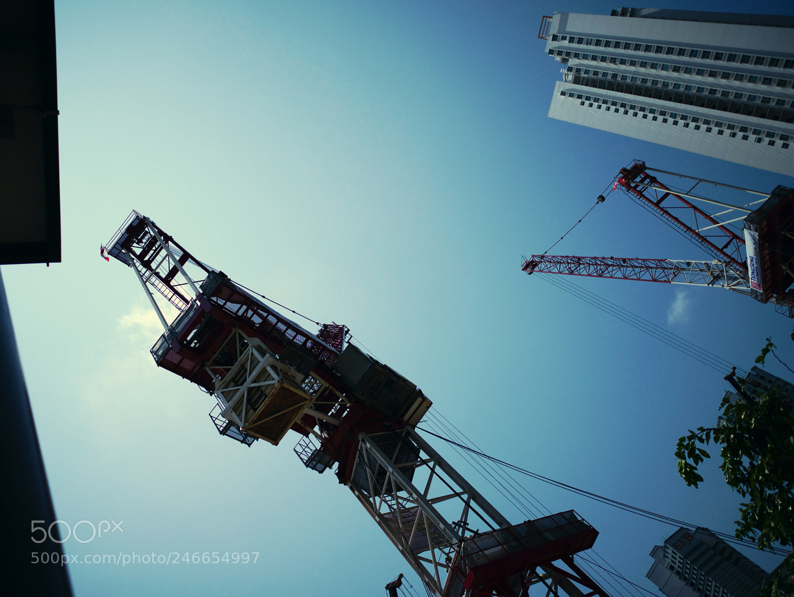 Panasonic Lumix DMC-G85 (Lumix DMC-G80) sample photo. Crane photography