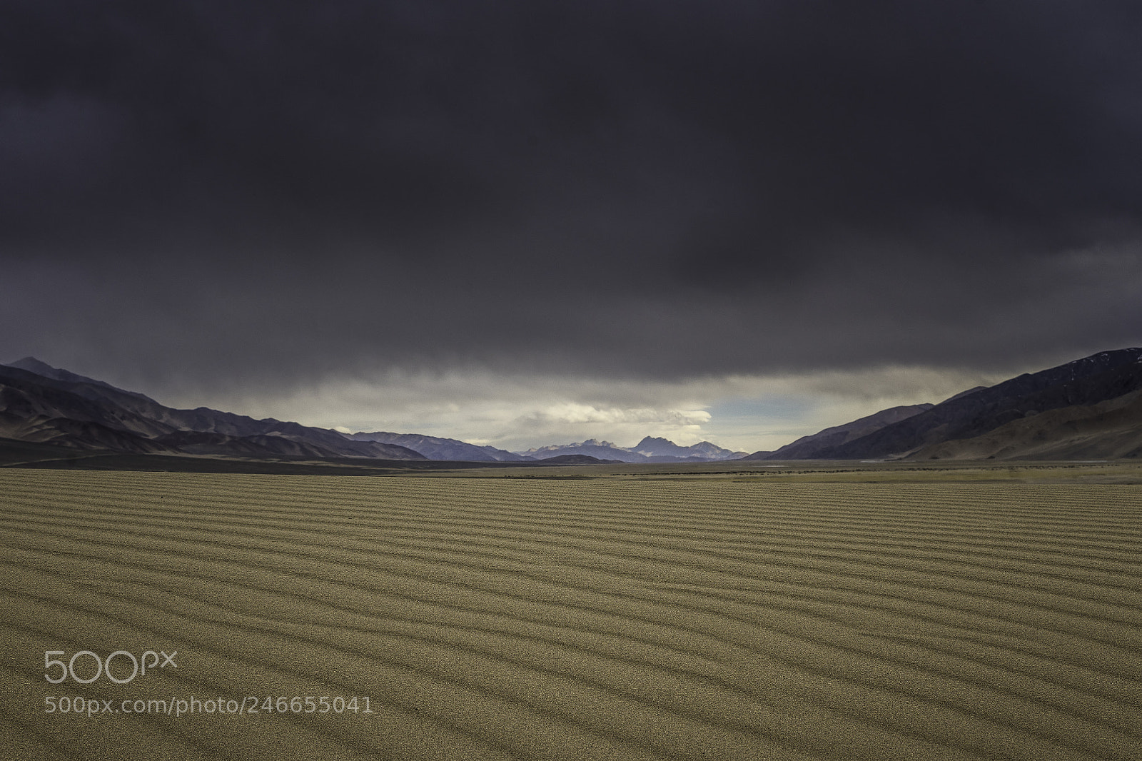 Sony a7 II sample photo. High altitude gold dsc00371.jpg photography