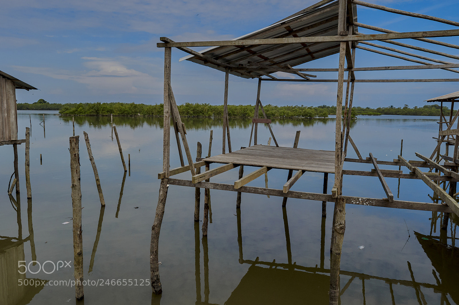 Nikon D5000 sample photo. Manglar photography