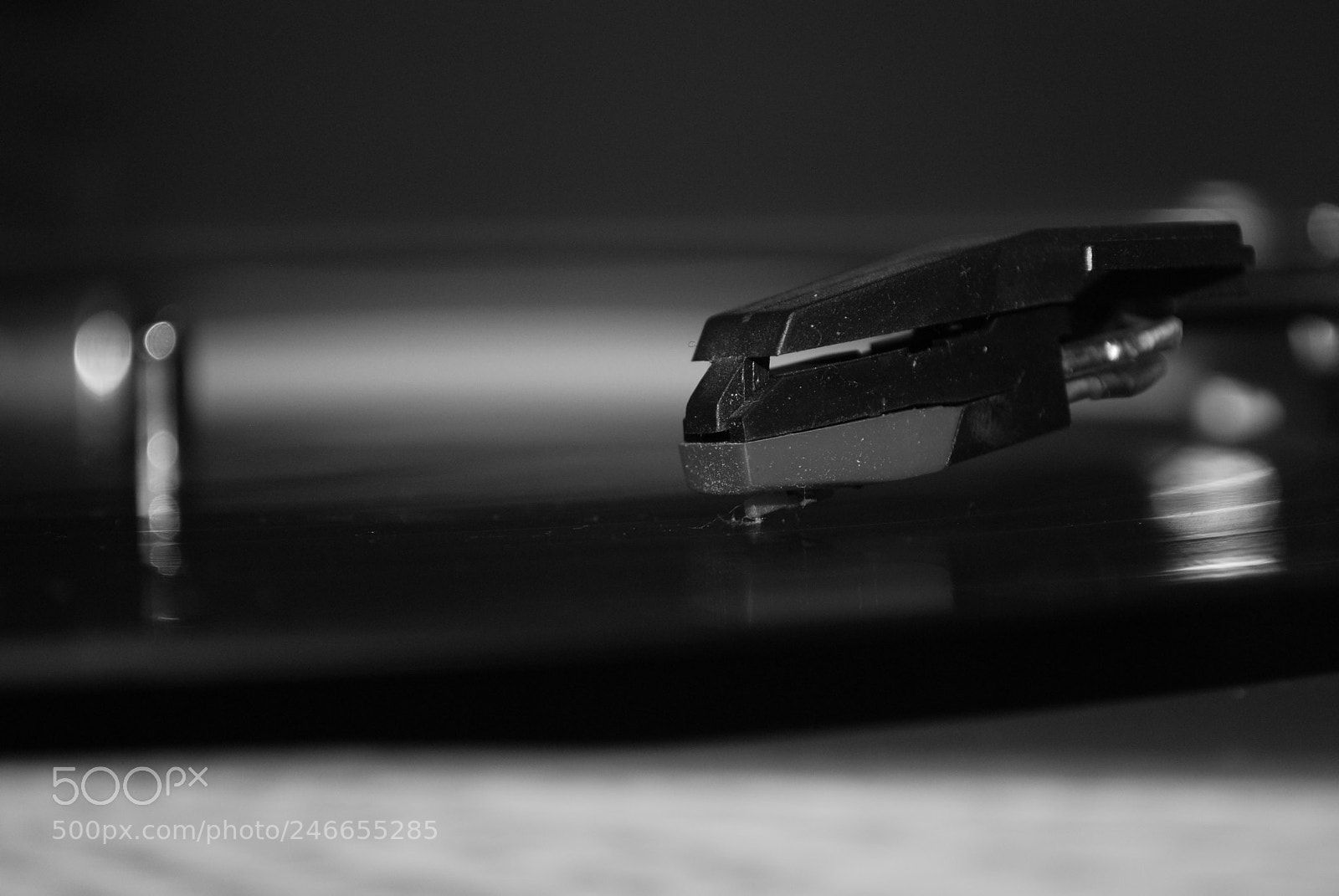 Nikon D60 sample photo. Record photography
