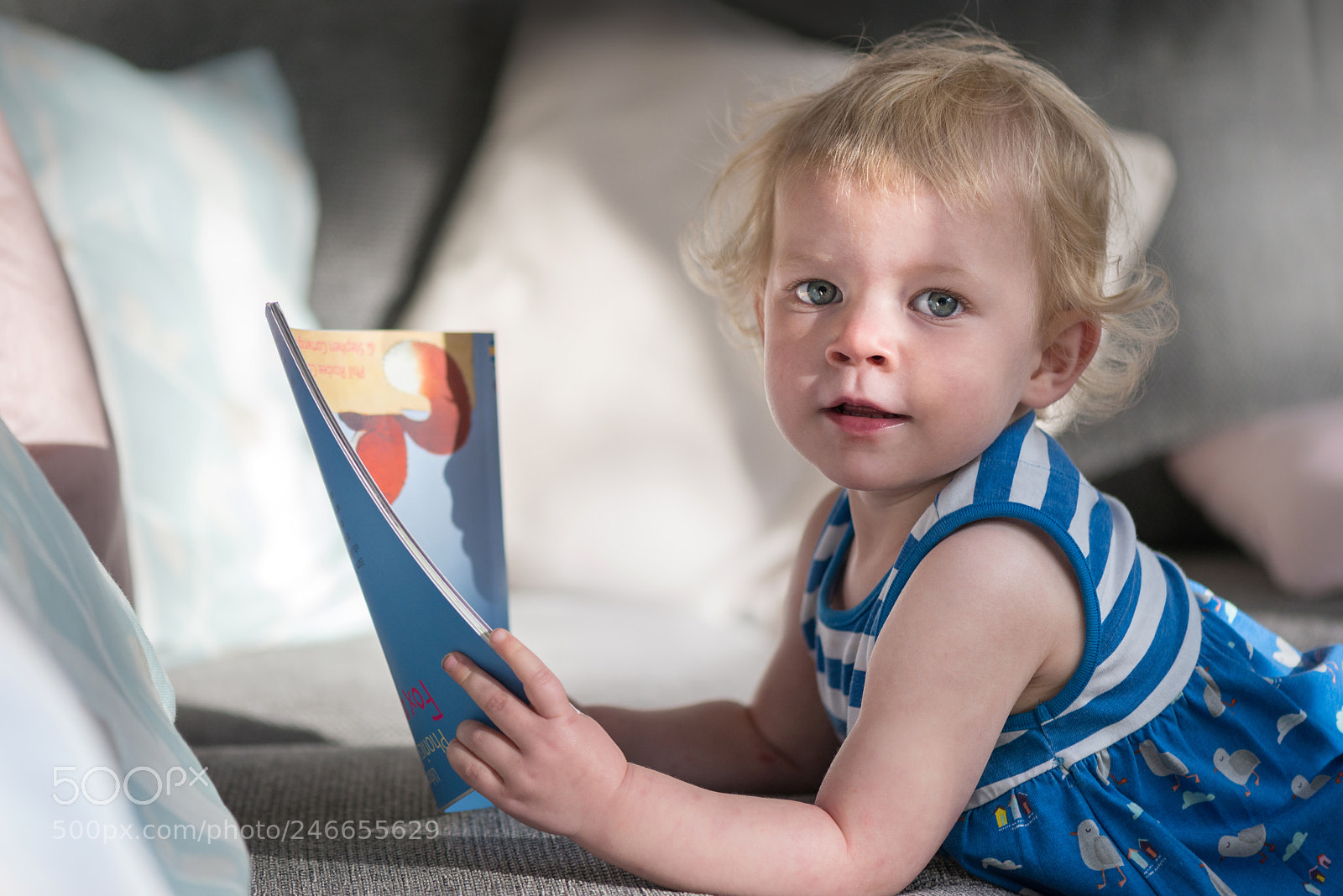 Nikon D800 sample photo. Storytime photography
