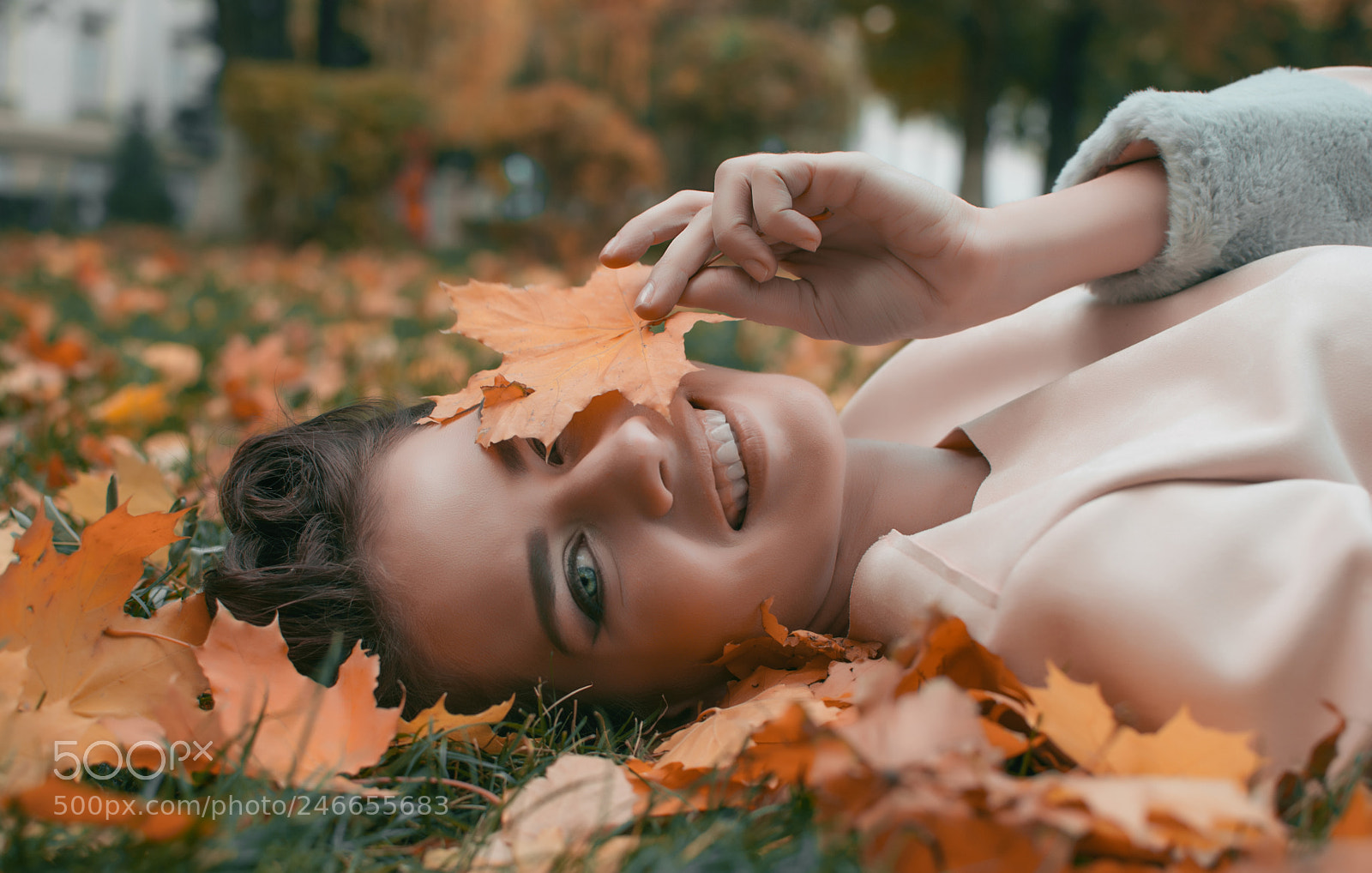 Nikon D7100 sample photo. Autumn photography