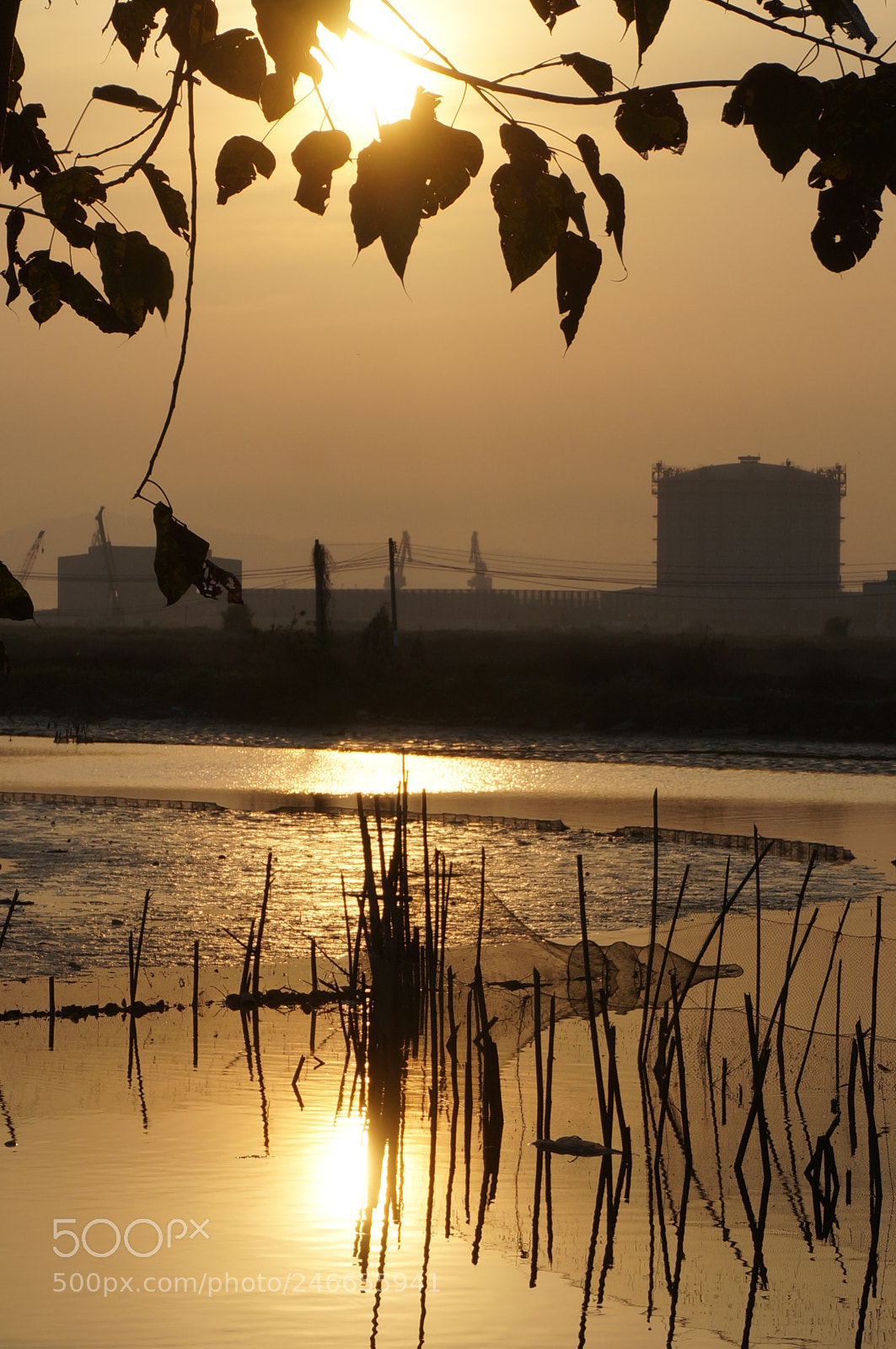 Sony Alpha NEX-5T sample photo. 今天，见了很久没见的好闺蜜，遇见了盼望已久的夕阳，我醉了！美好的一天！ photography