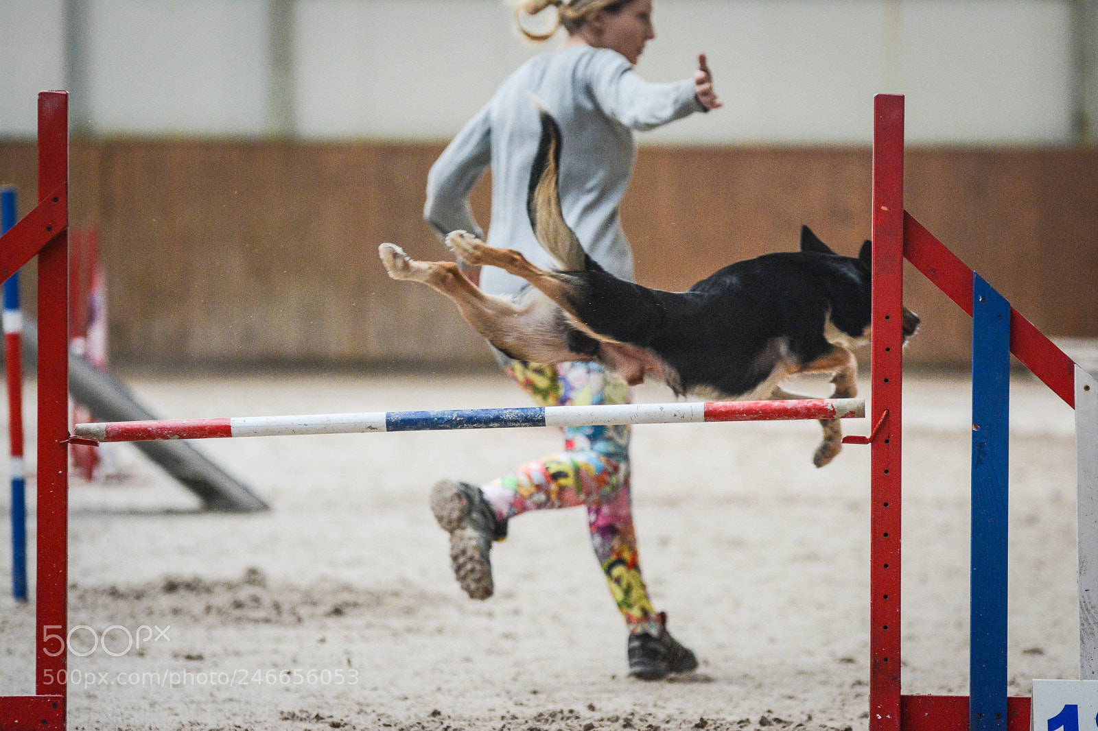 Nikon D7100 sample photo. Agility photography