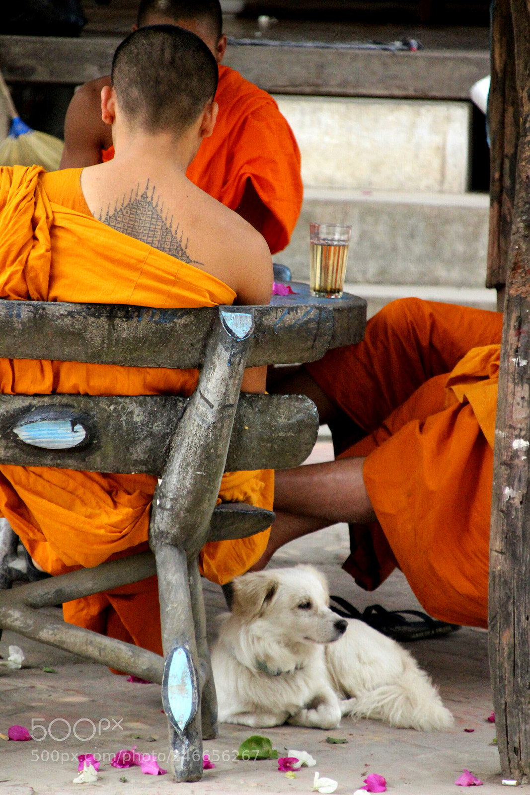 Canon EOS 100D (EOS Rebel SL1 / EOS Kiss X7) sample photo. Monks and dog photography